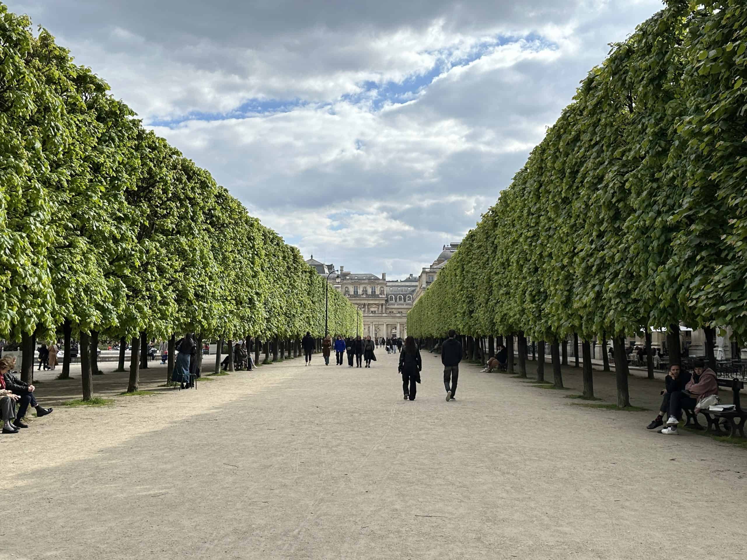 Trees lining the garden