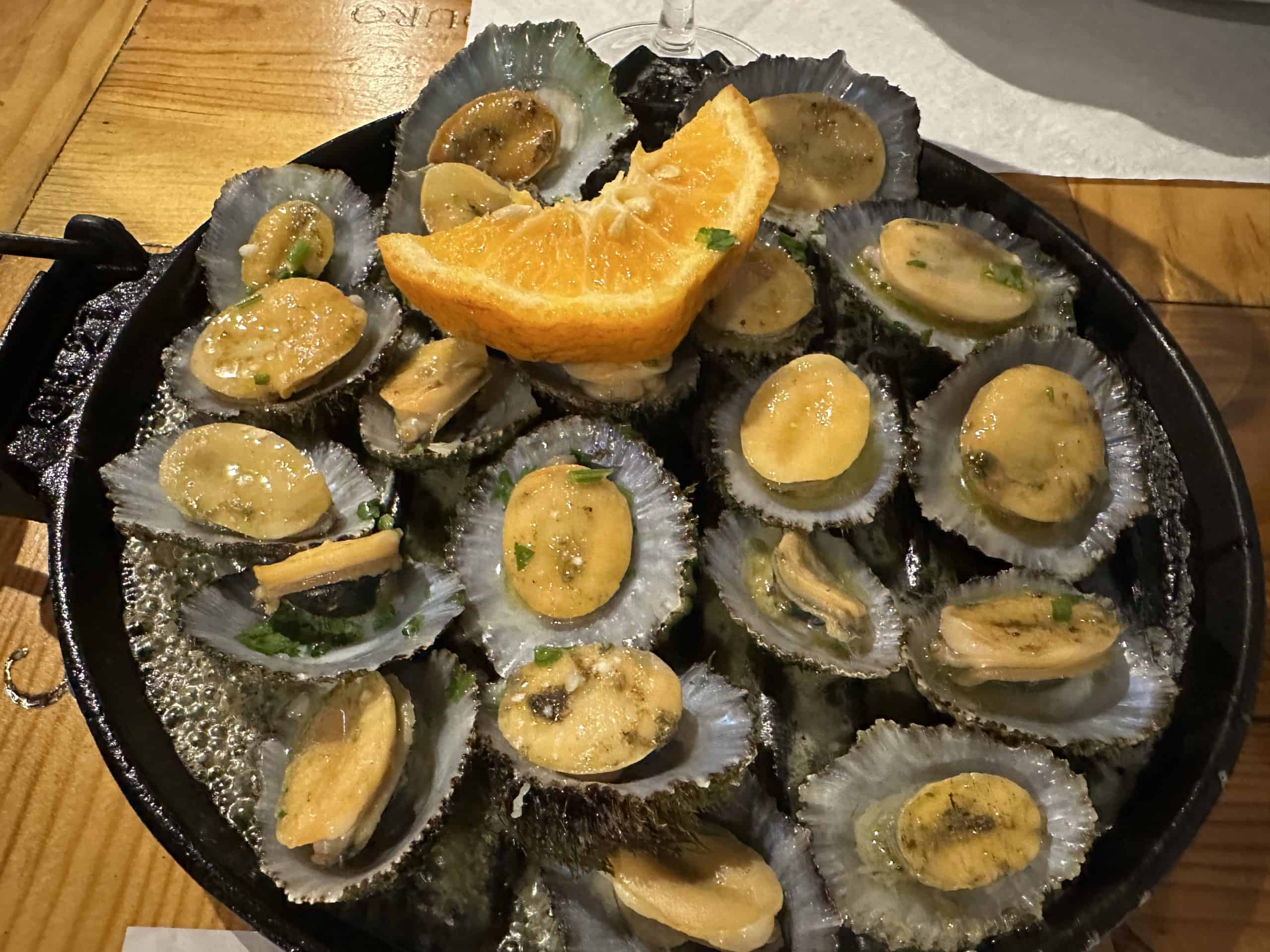 Limpets at A Tasca