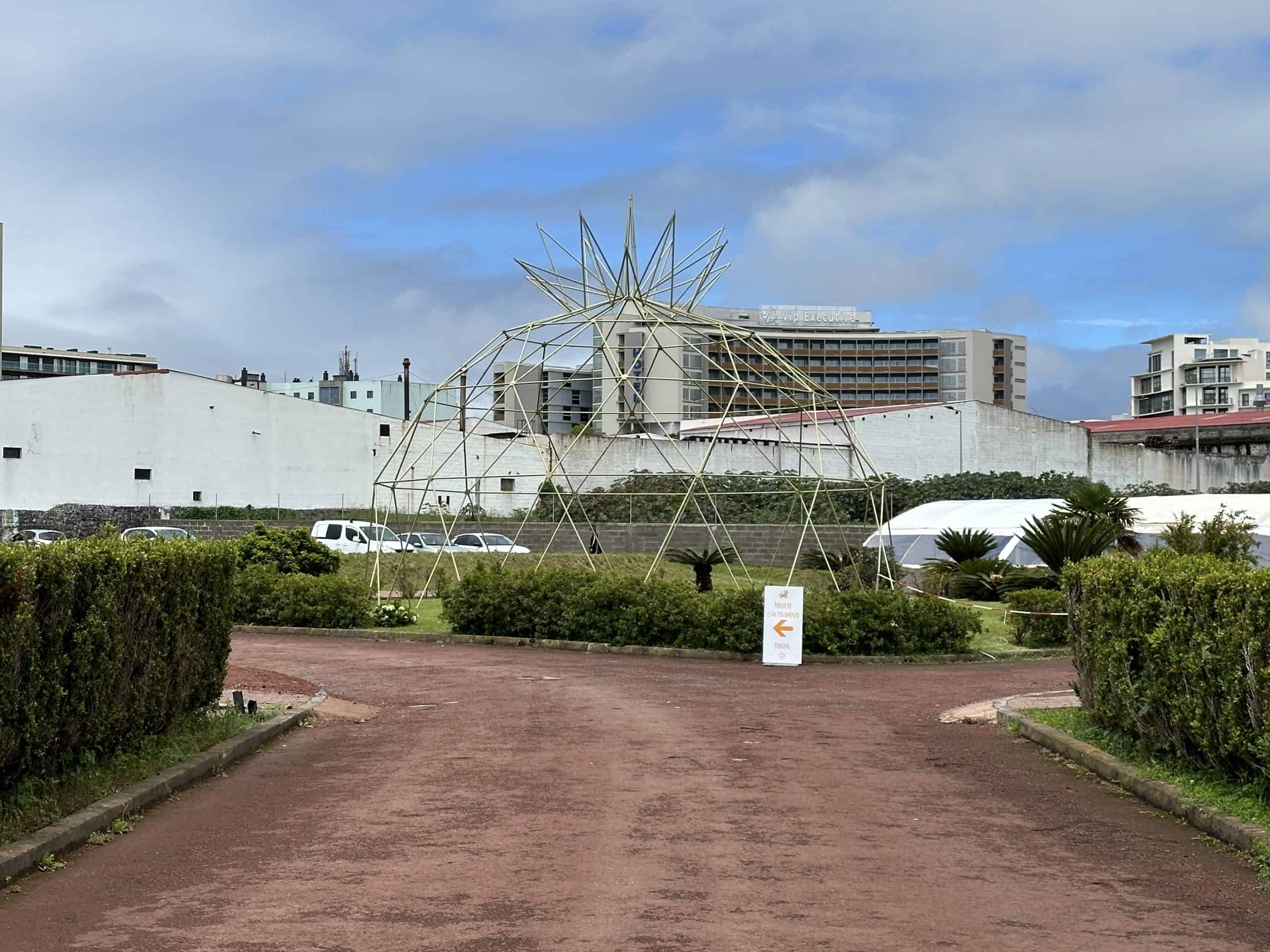 Pineapple plantation