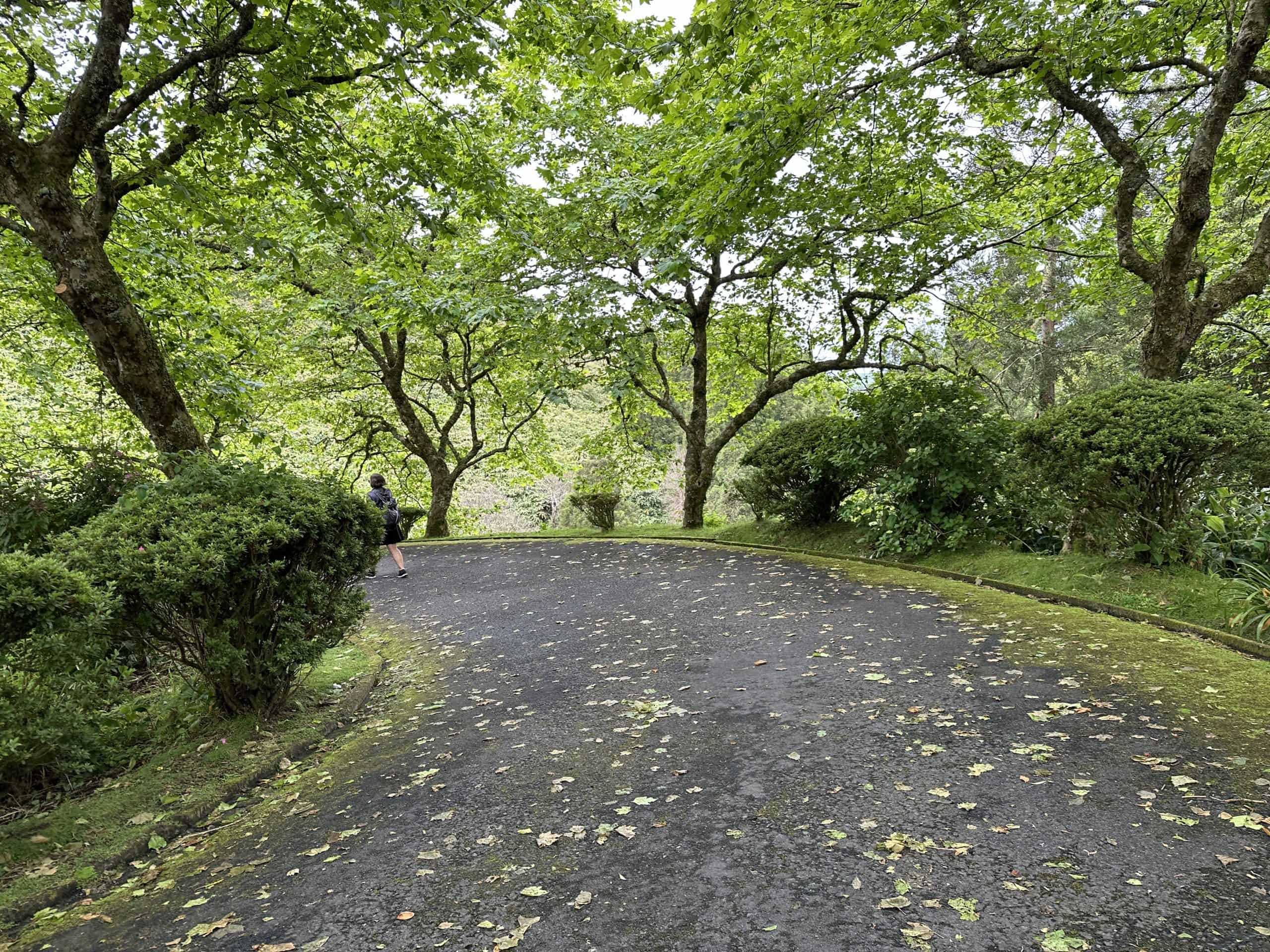 Pretty pathway from the viewpoint