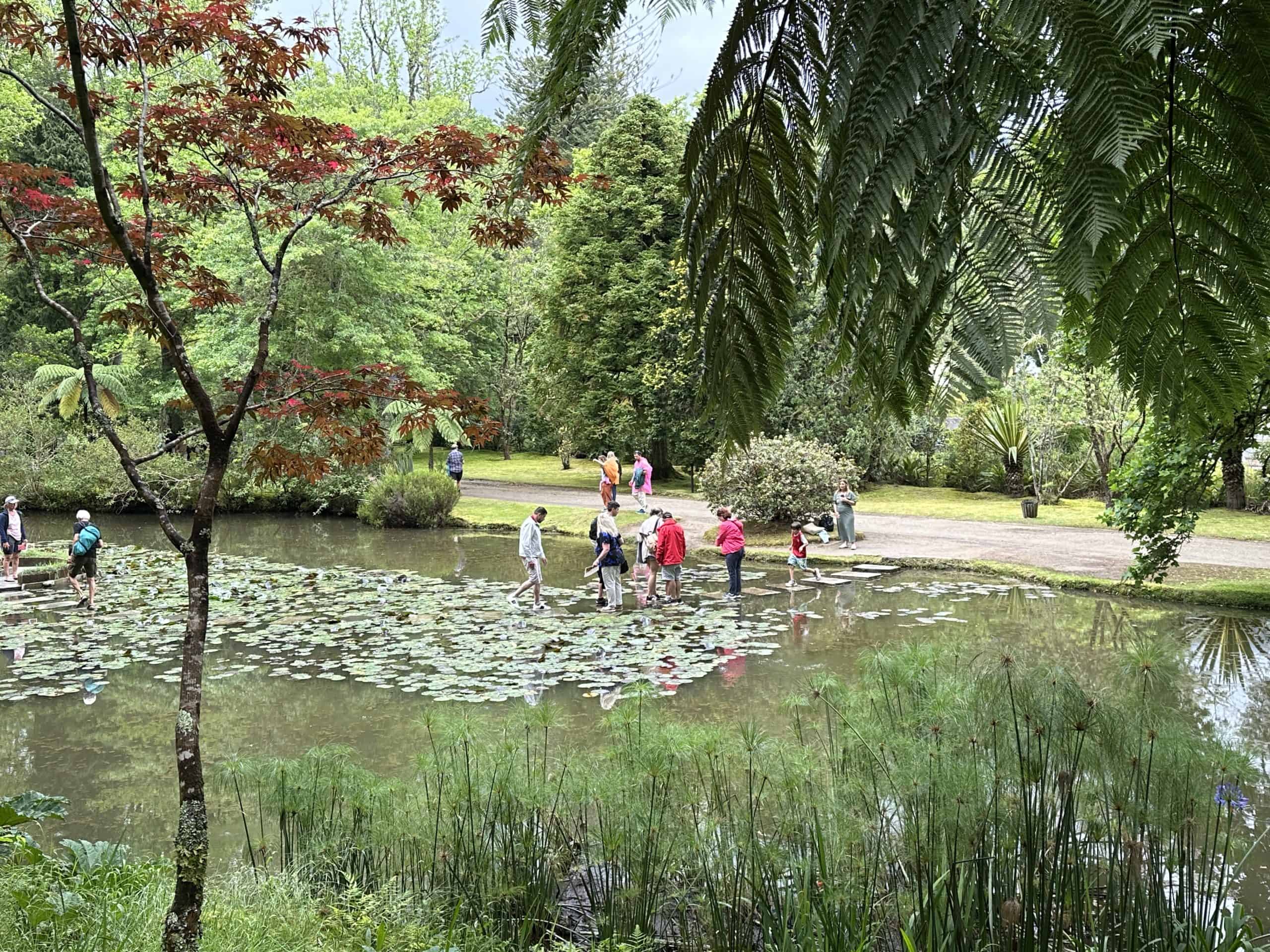 Visitors walking on the lily pads in the pond