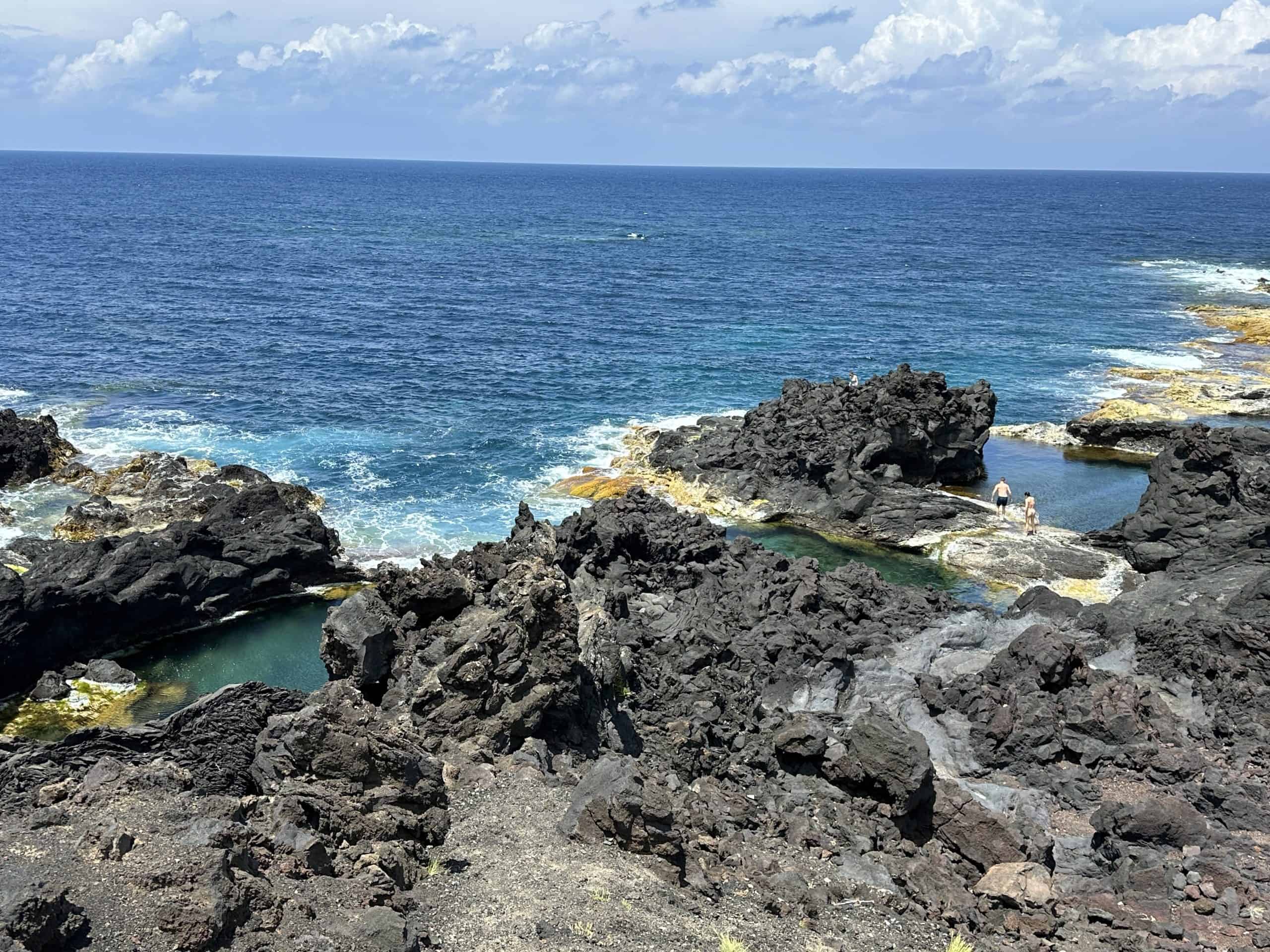 Natural swimming pools