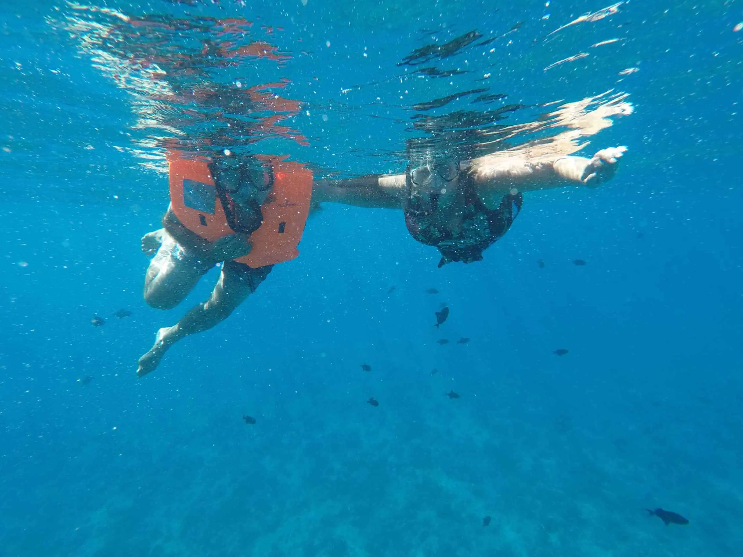 An underwater picture of us in the lagoon