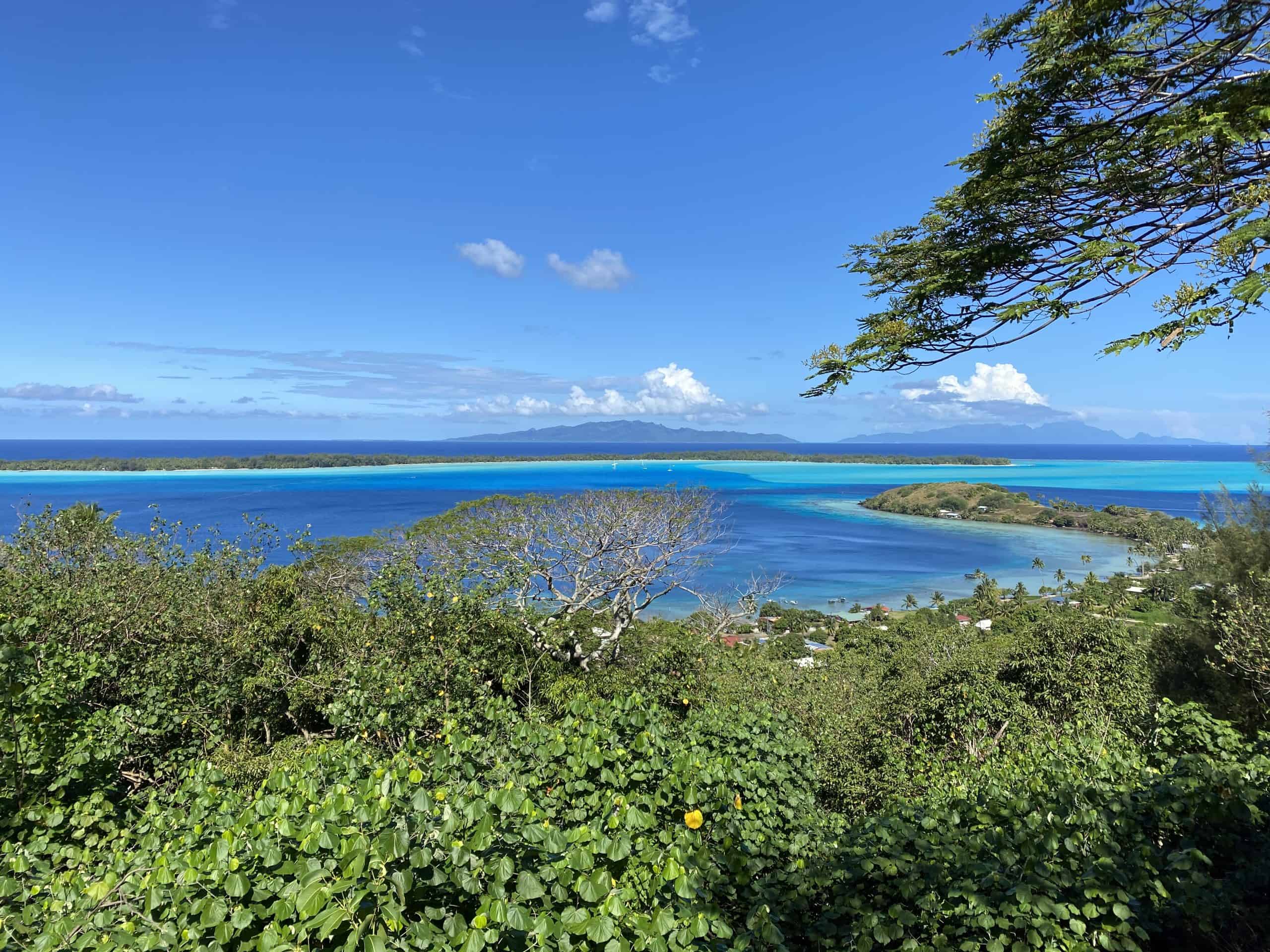 View from the hilltop