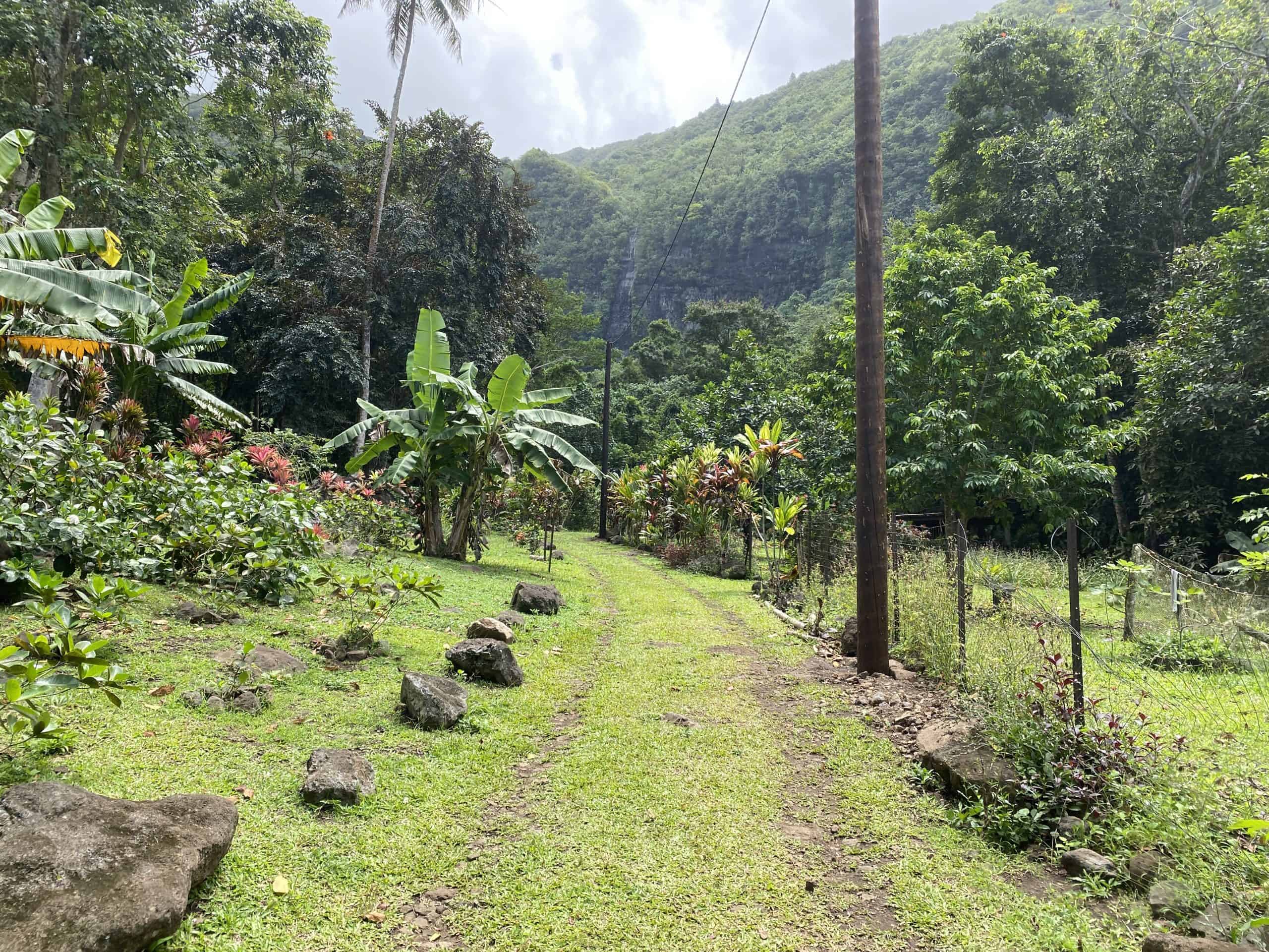 Trail to the waterfall