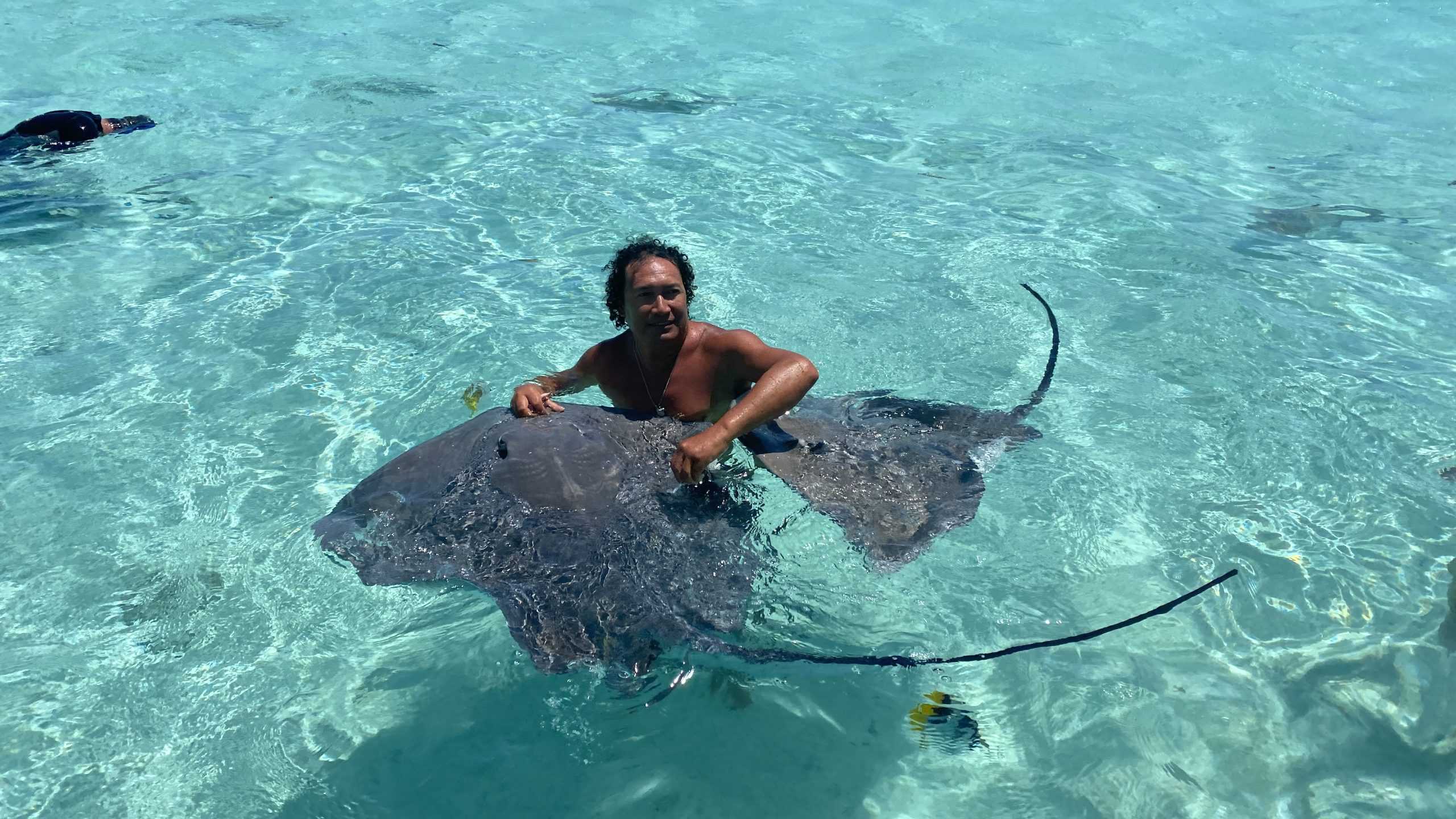 Playing with the sting rays