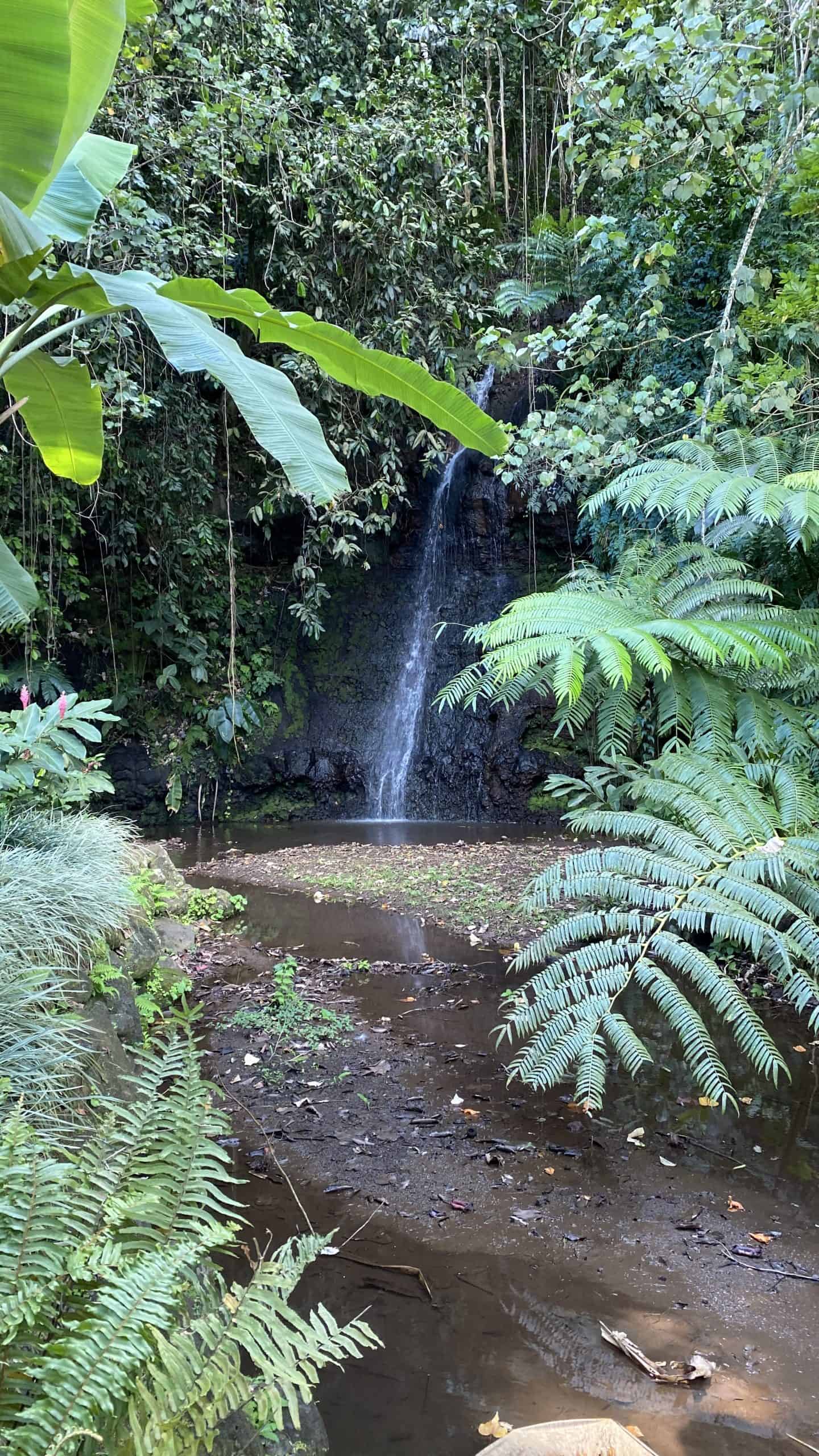 Waterfall in the garden