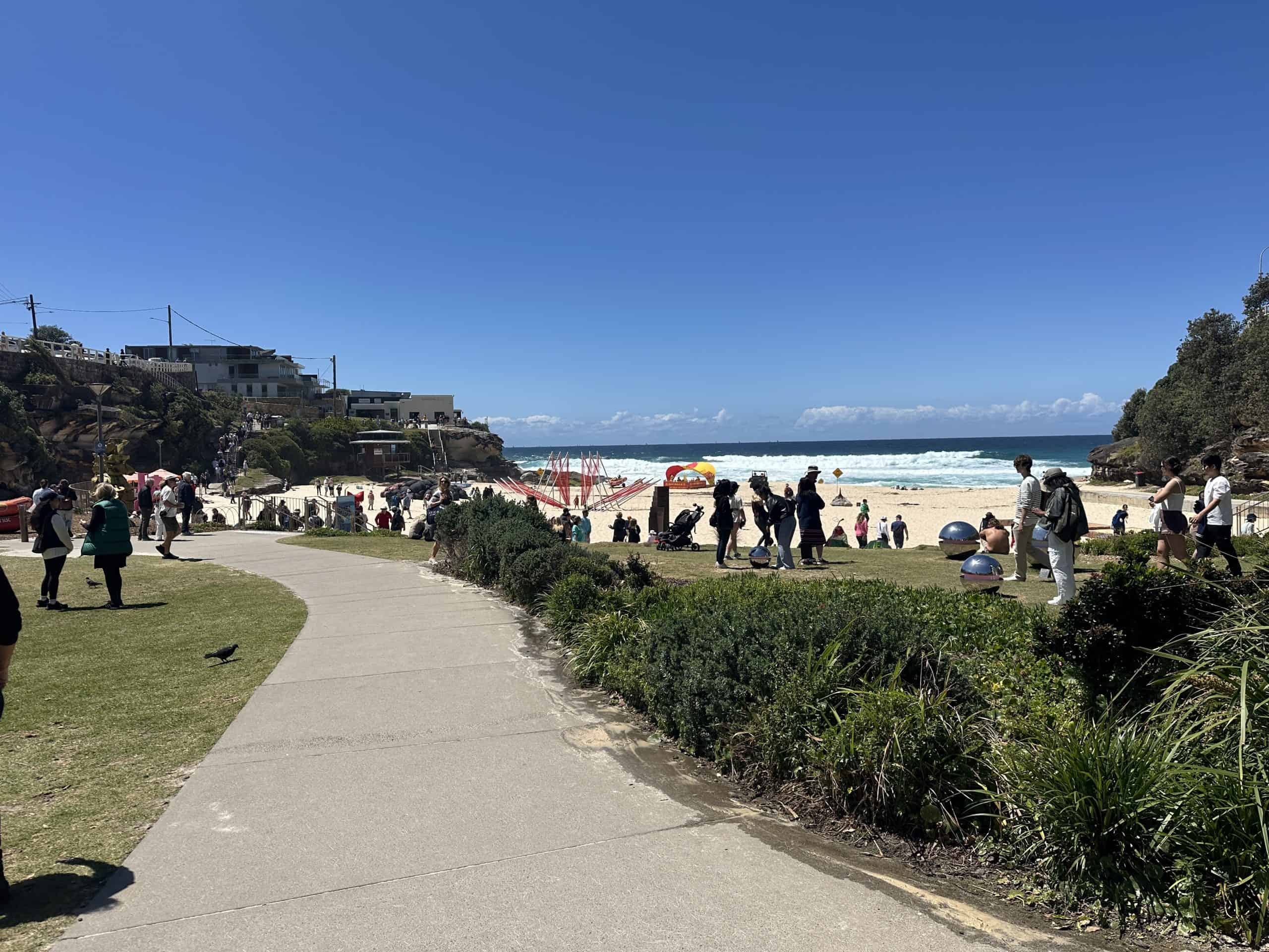 Grassy area at Tamarama
