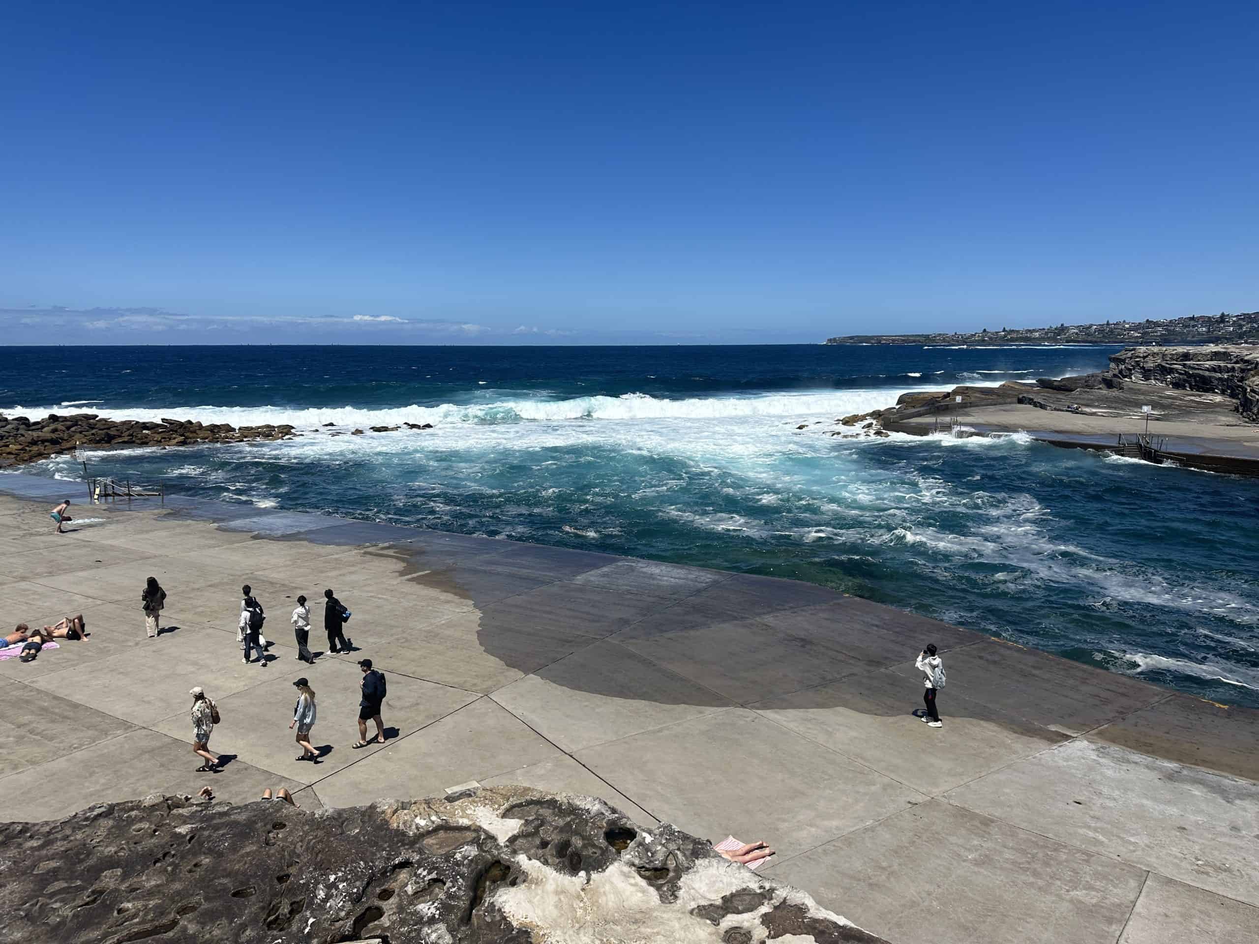 Clovelly Beach area