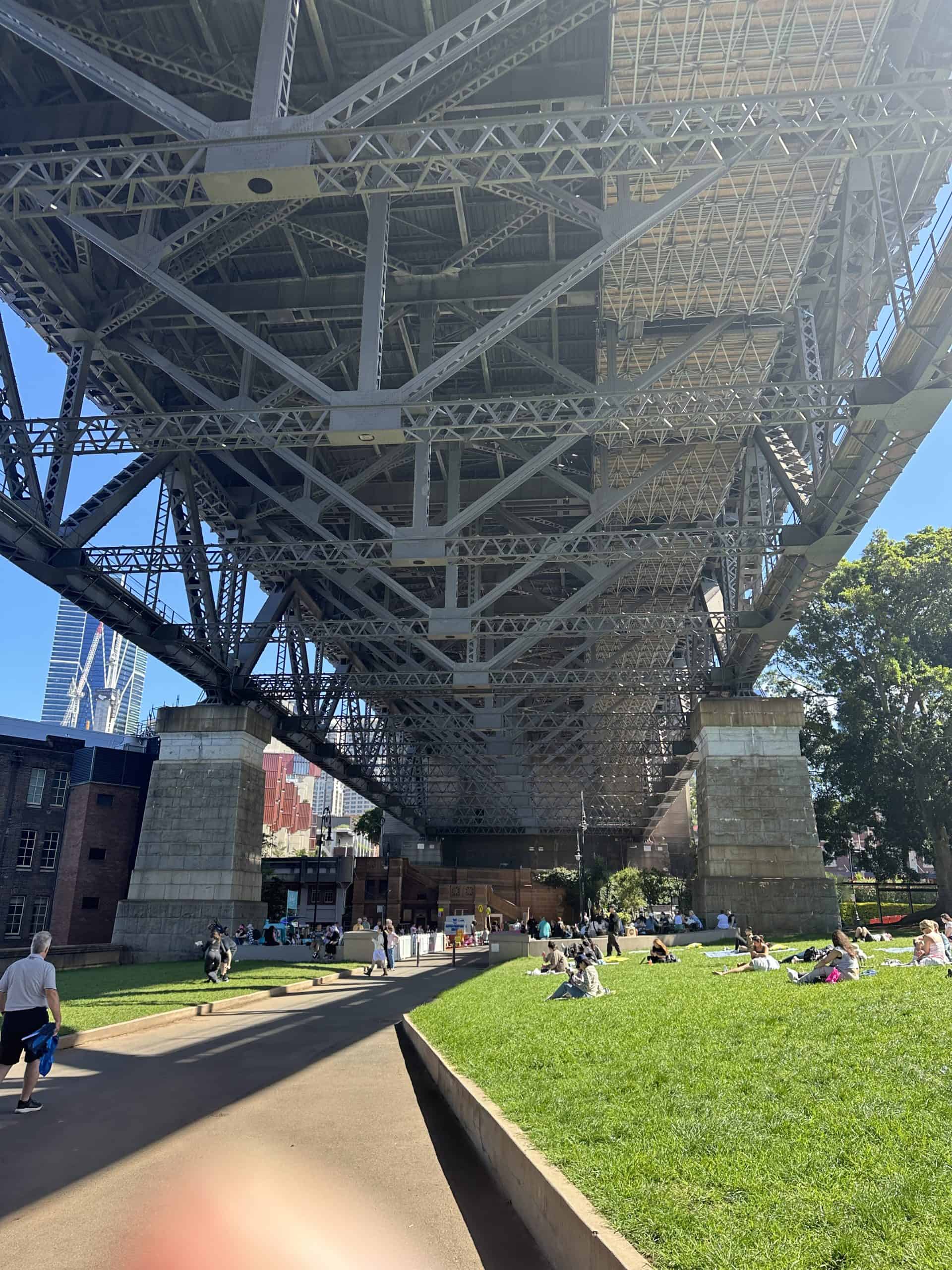 Green space under the bridge