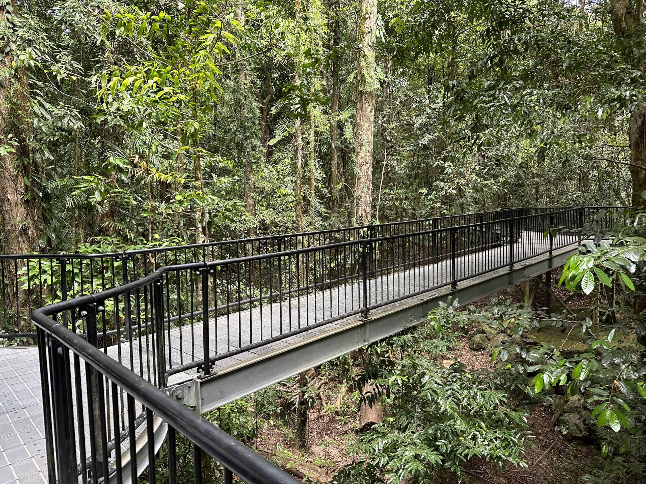 Boardwalks for exploring the rainforest