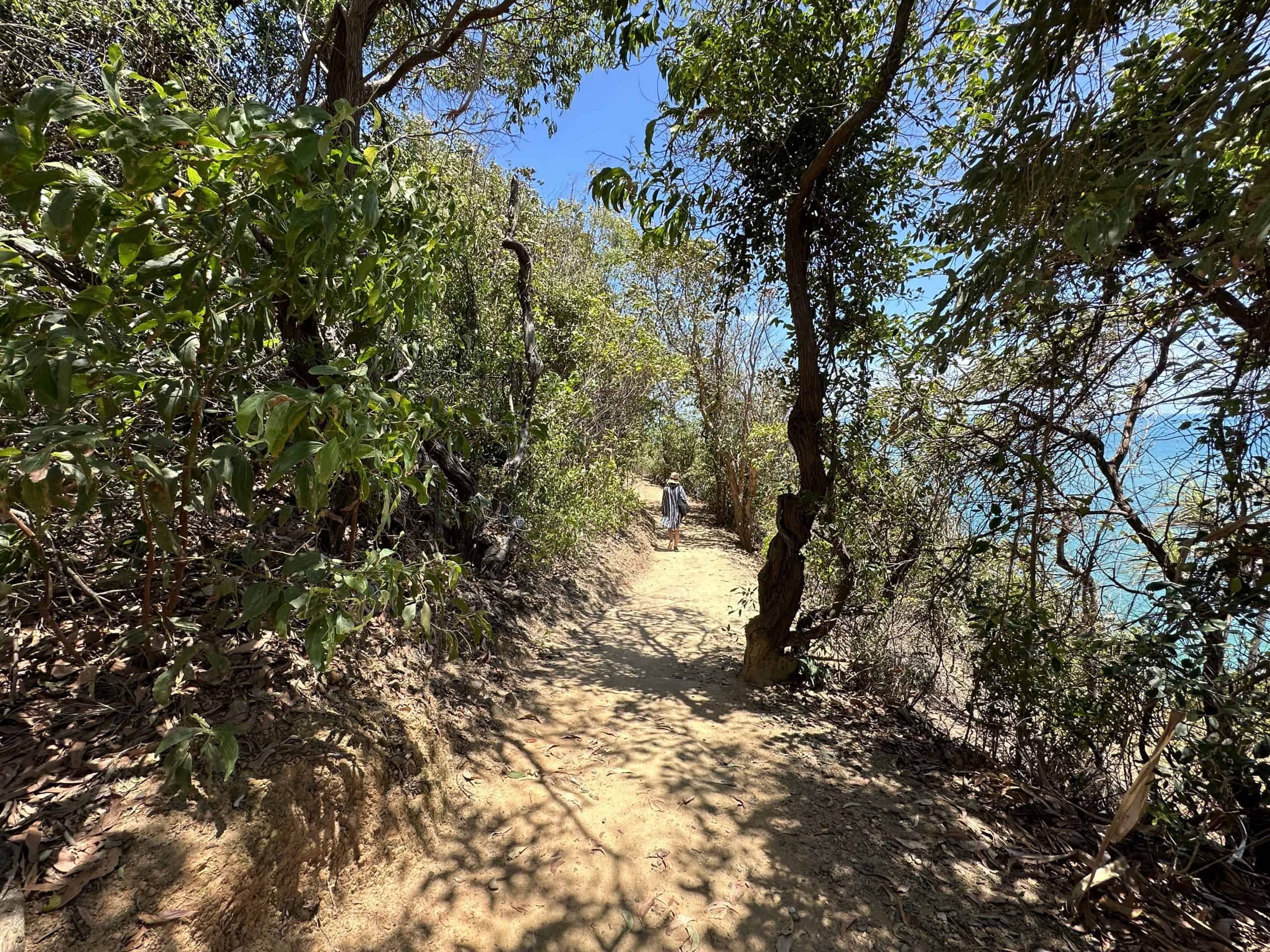 Pathway to the Lookout