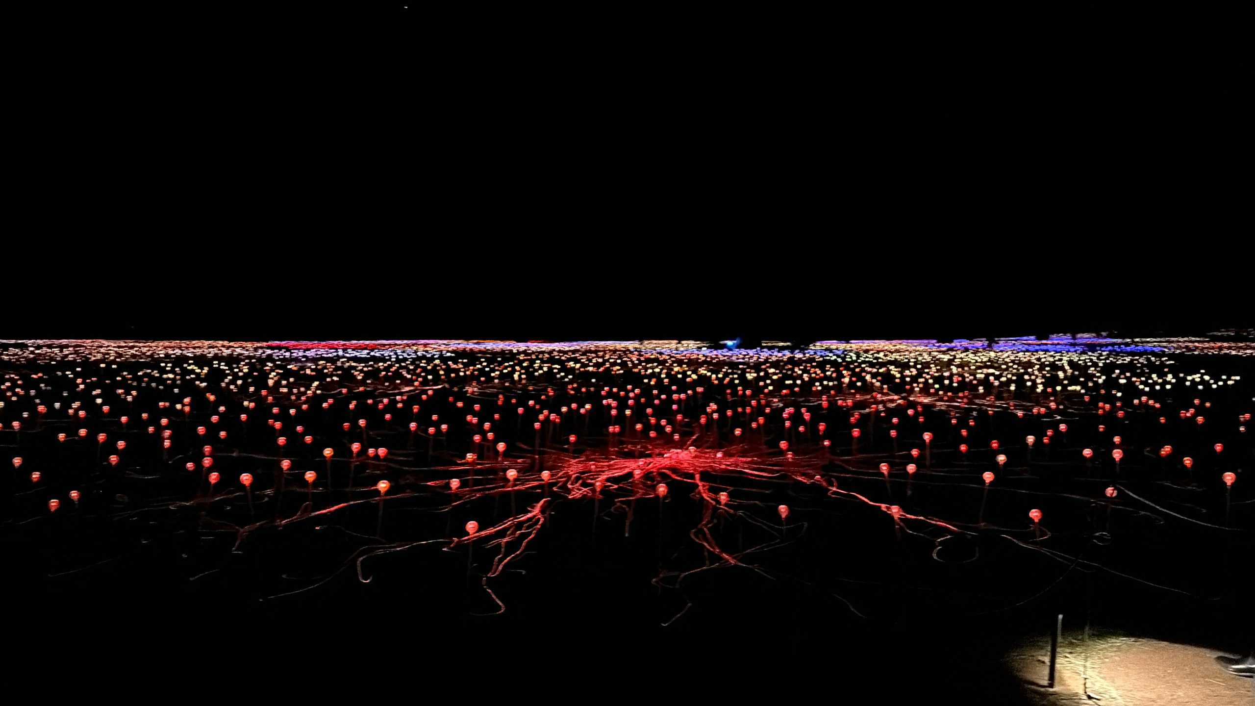 Light display