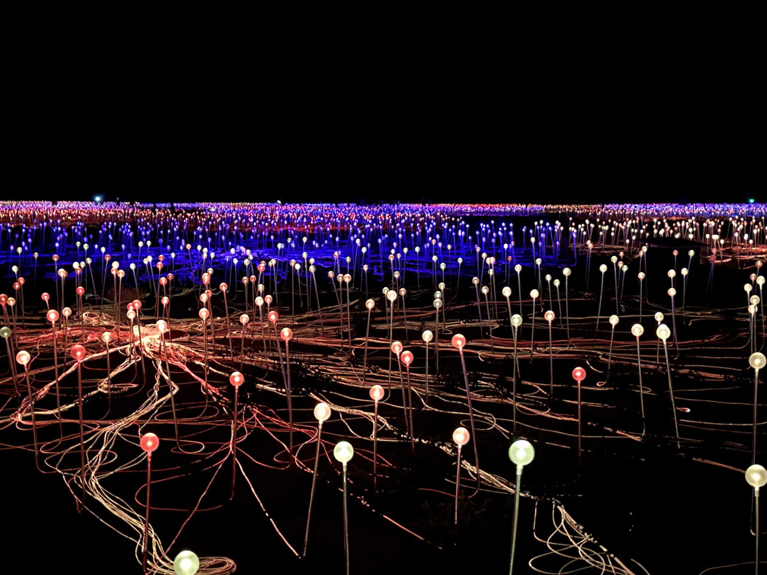 Field of Light art installation