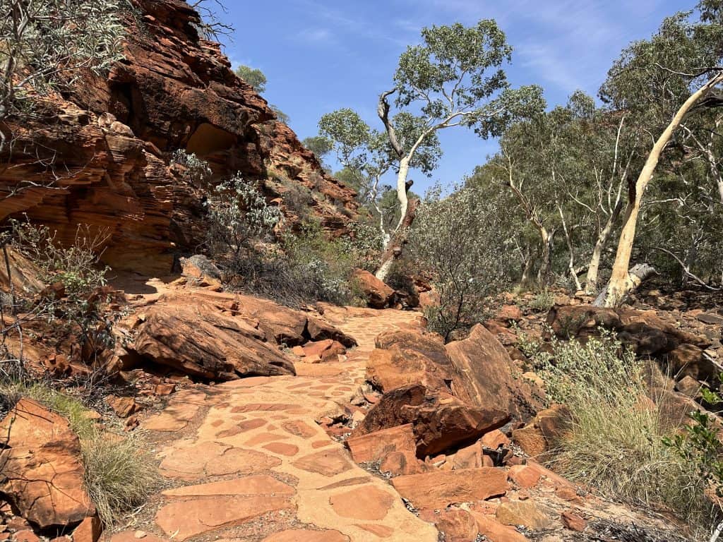 Creek Bed walk
