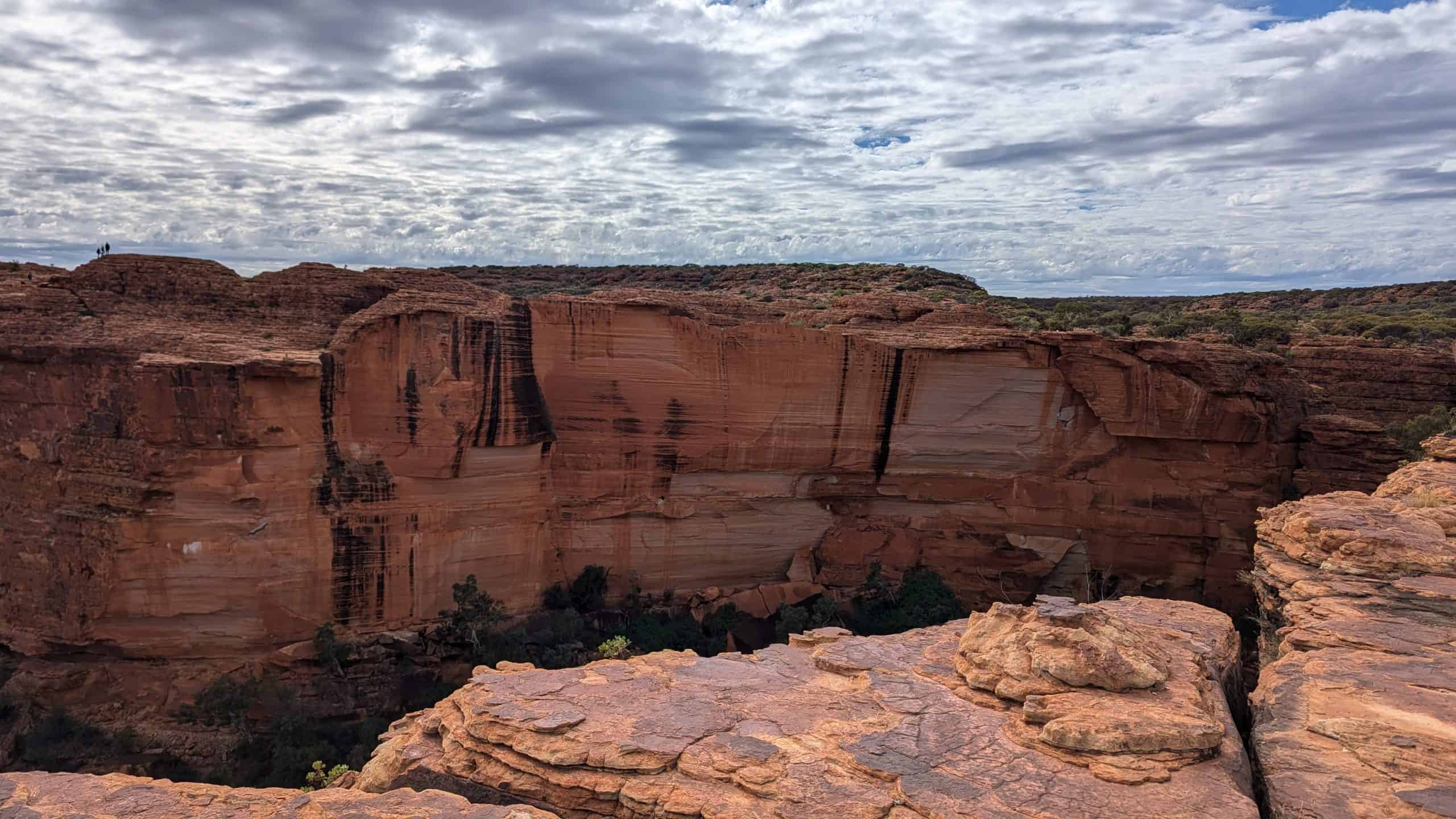 Views from the Canyon Rim