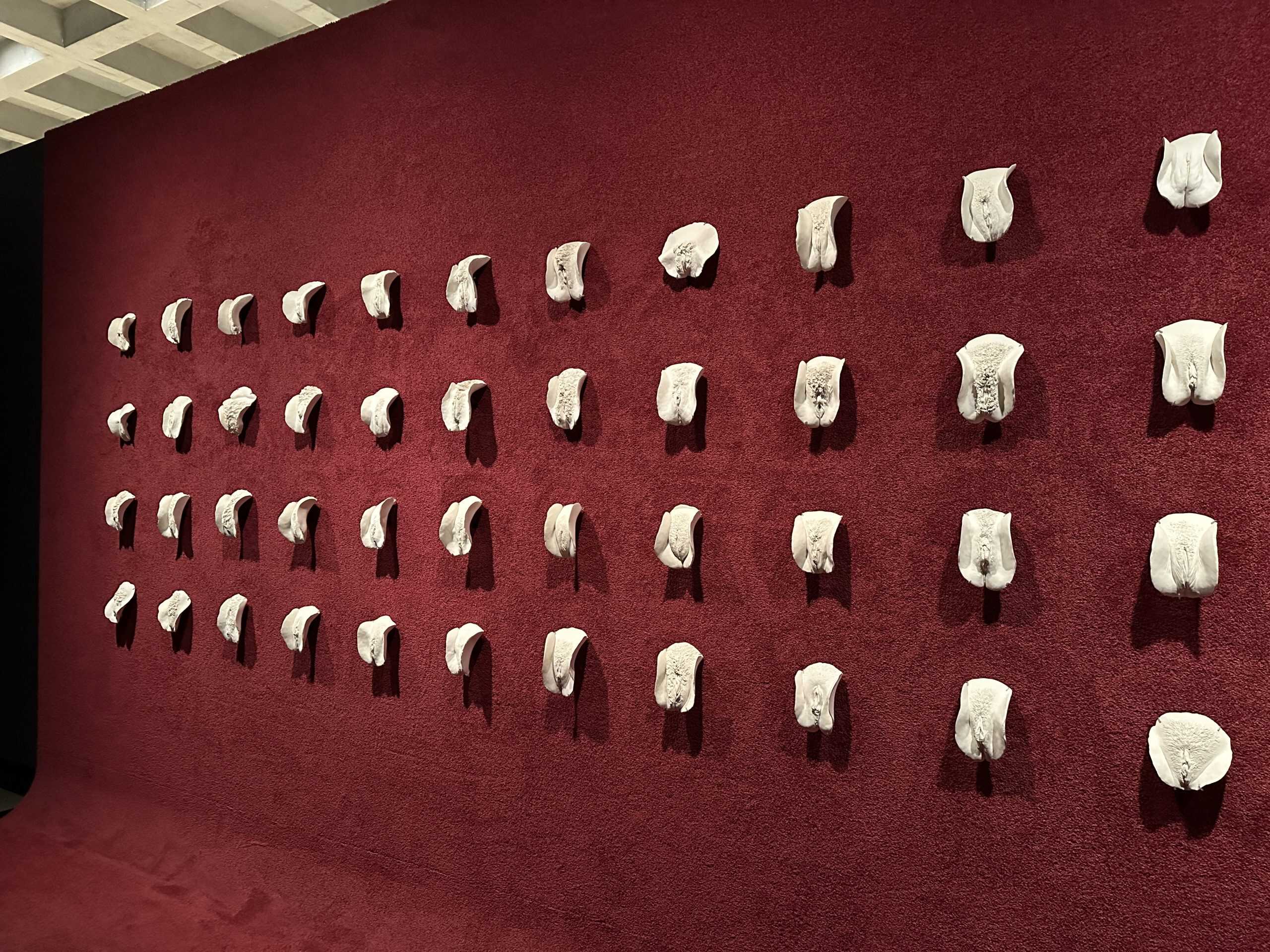 Controversial artwork at MONA