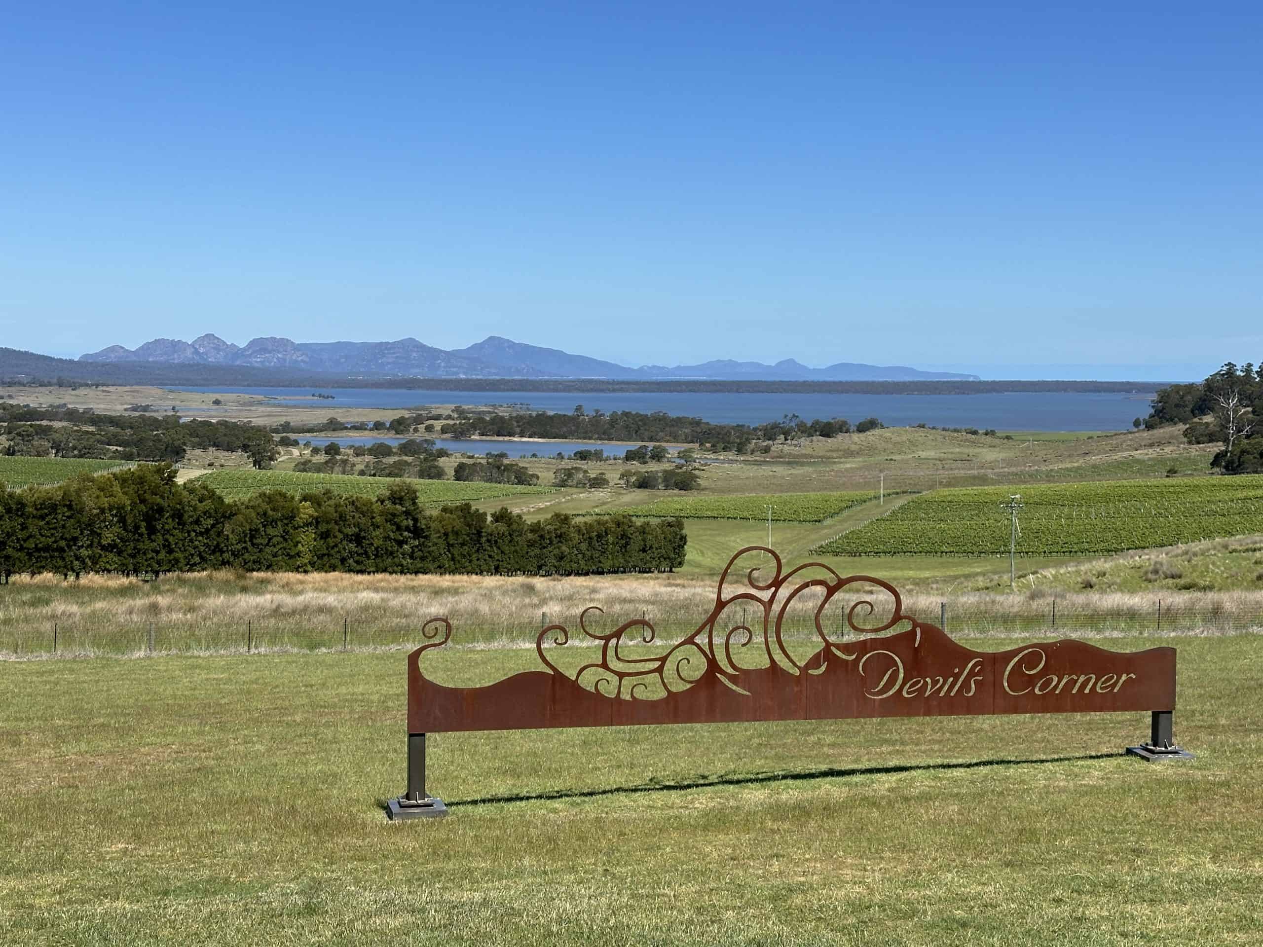 Devil's Corner winery