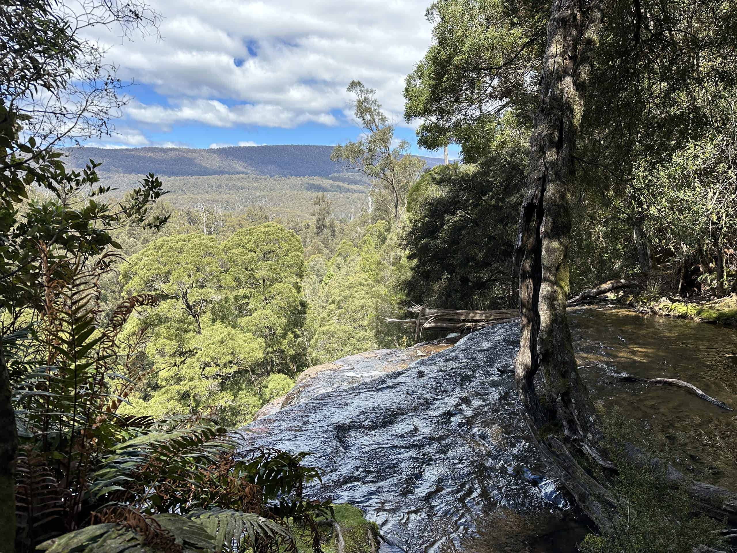 View from the top of the falls