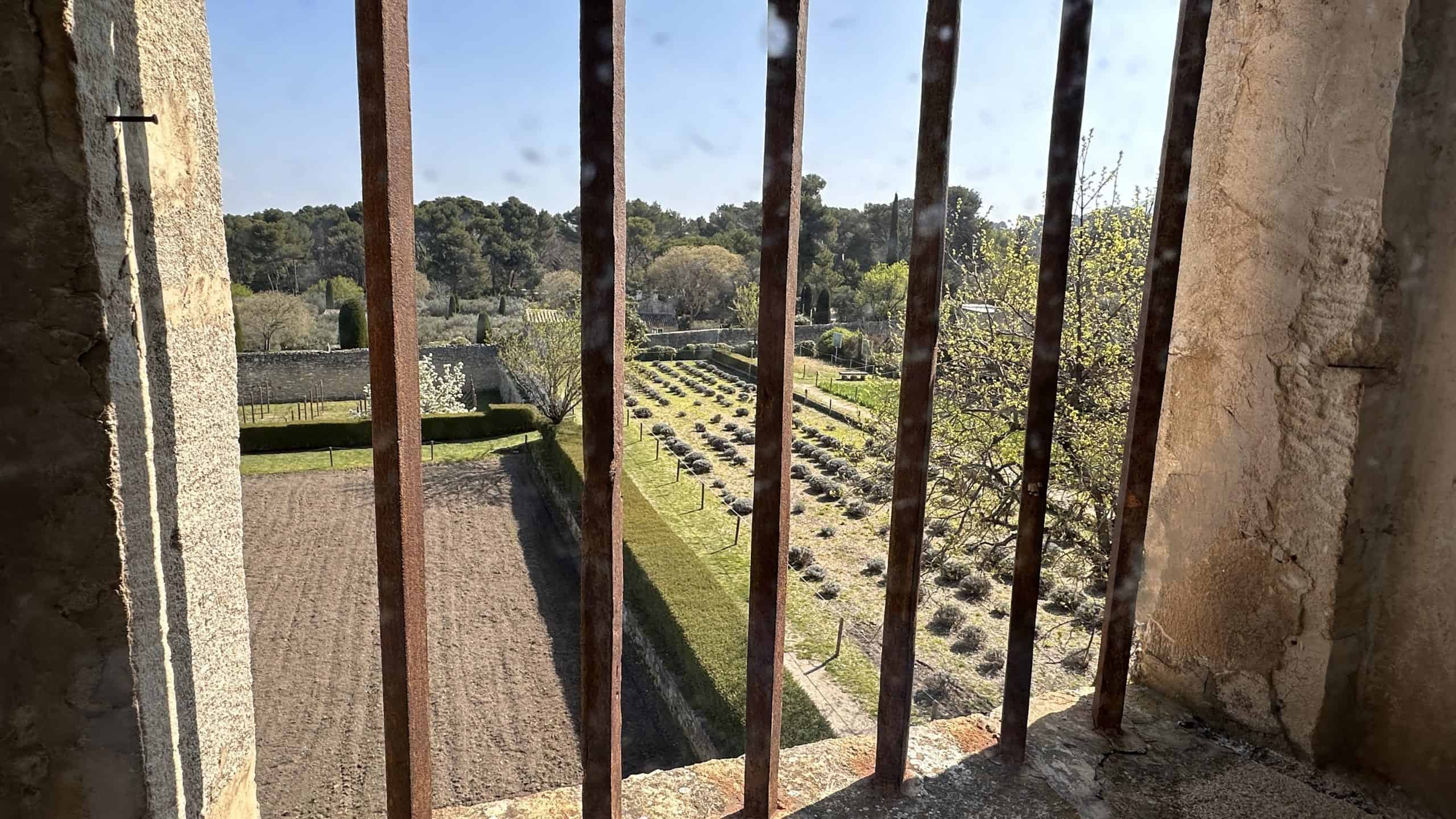 View of garden from his room