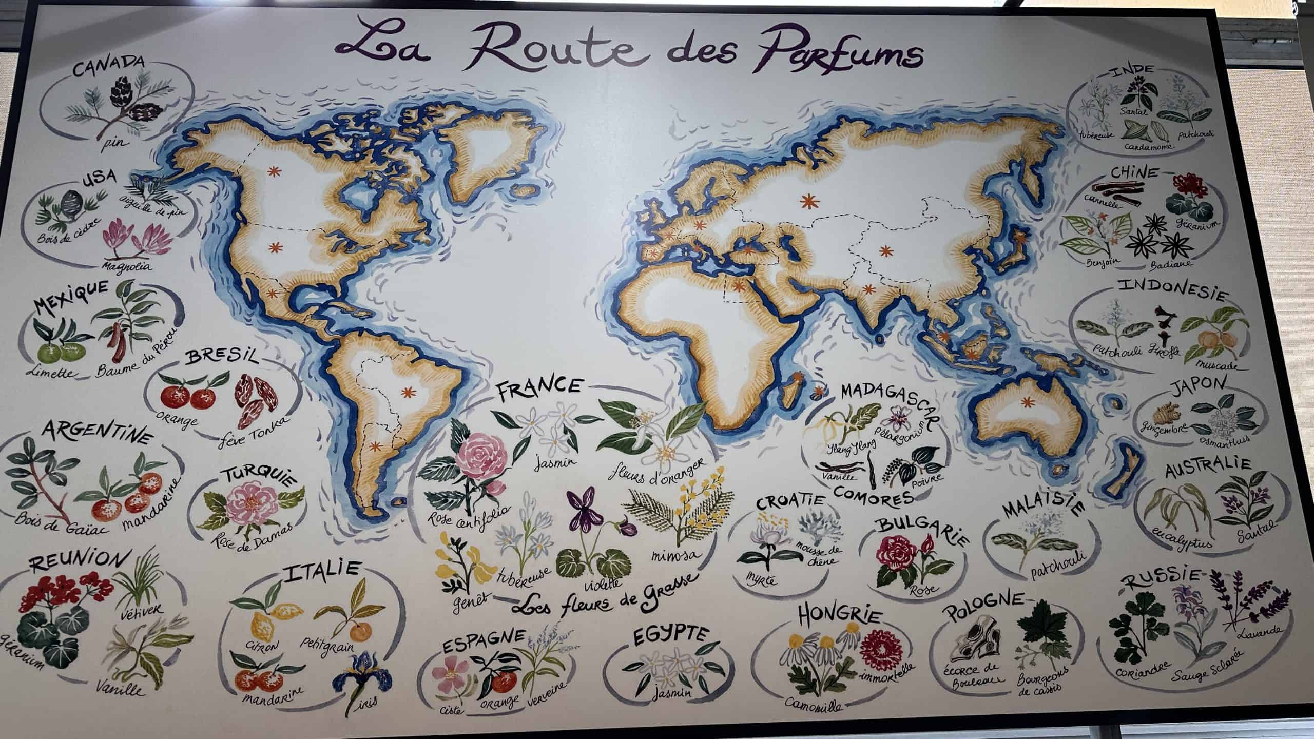 A map of where different botanicals come from