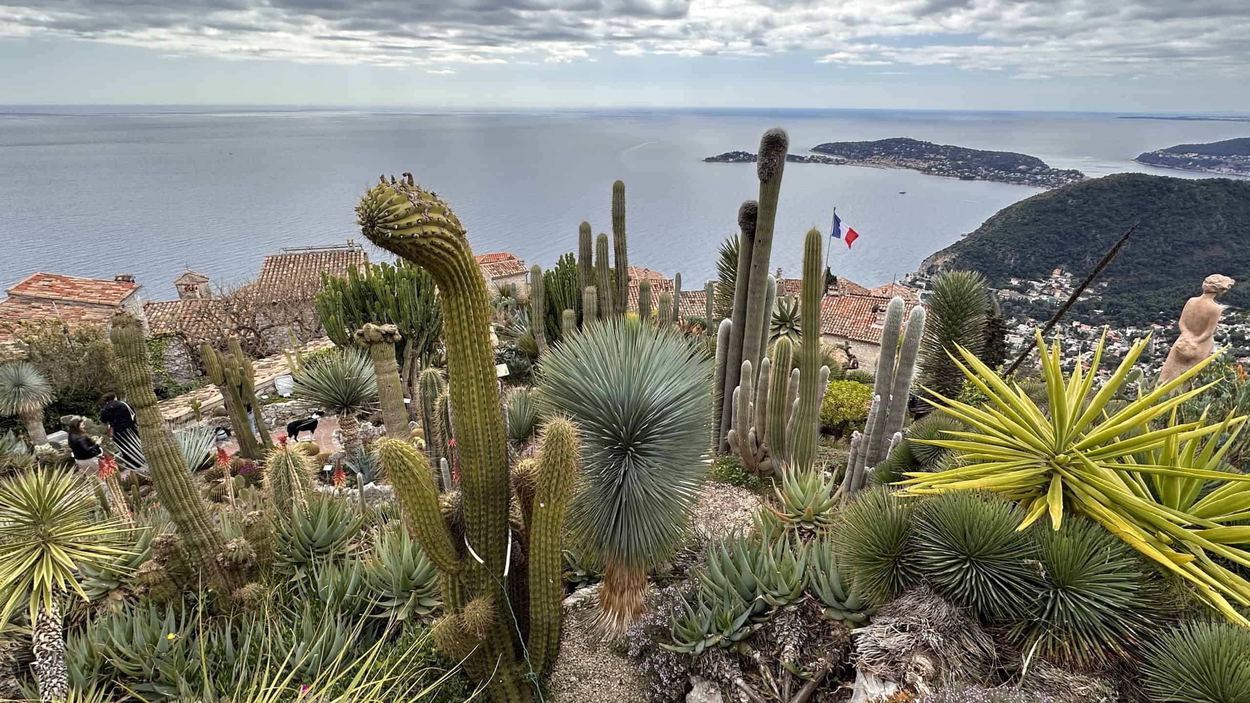 Jardin Exotique