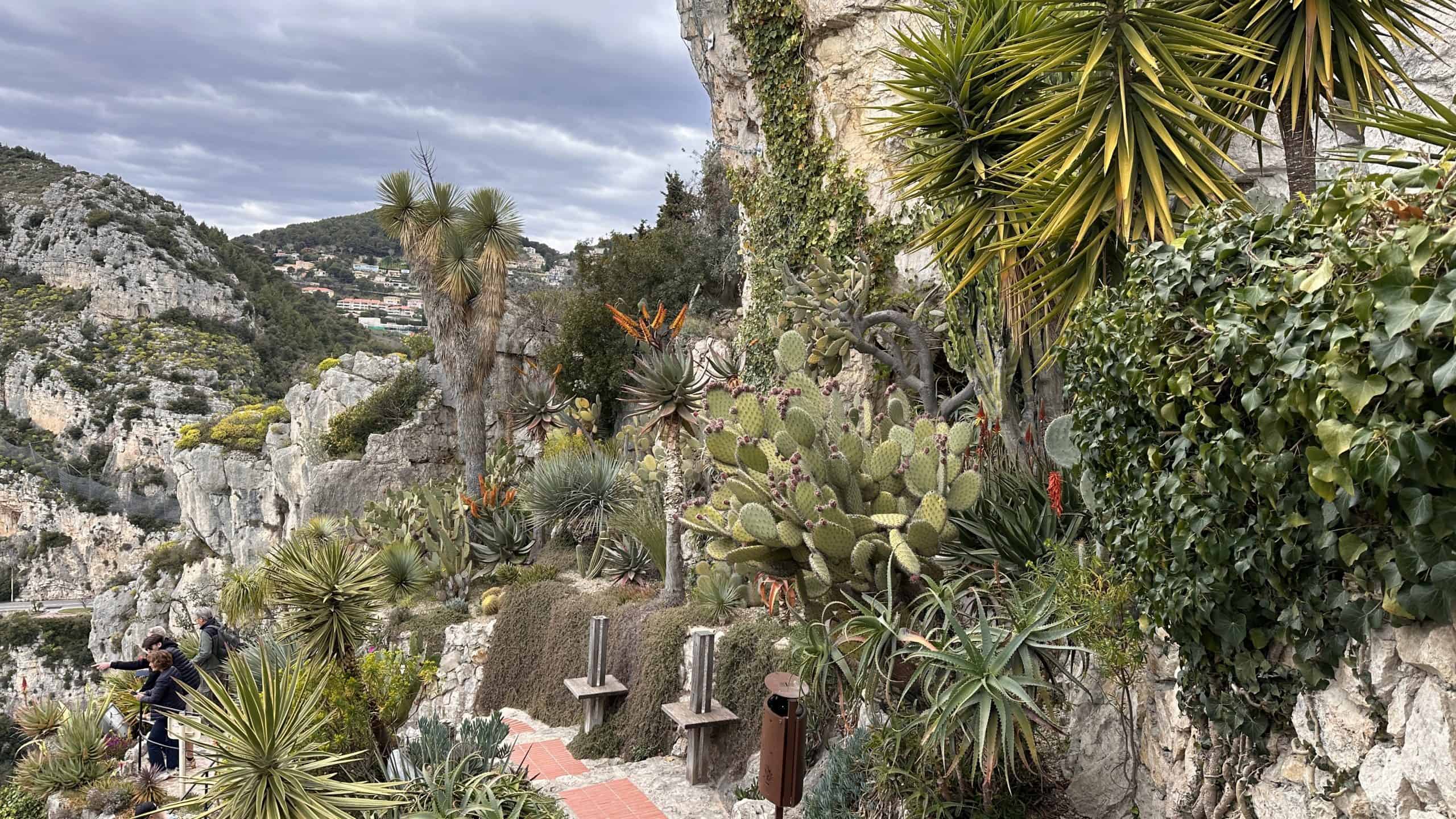 Gorgeous plants
