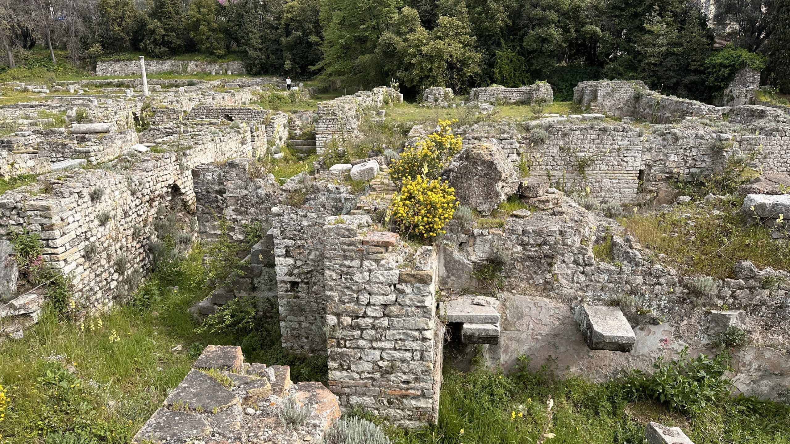 Excavations of the Roman city