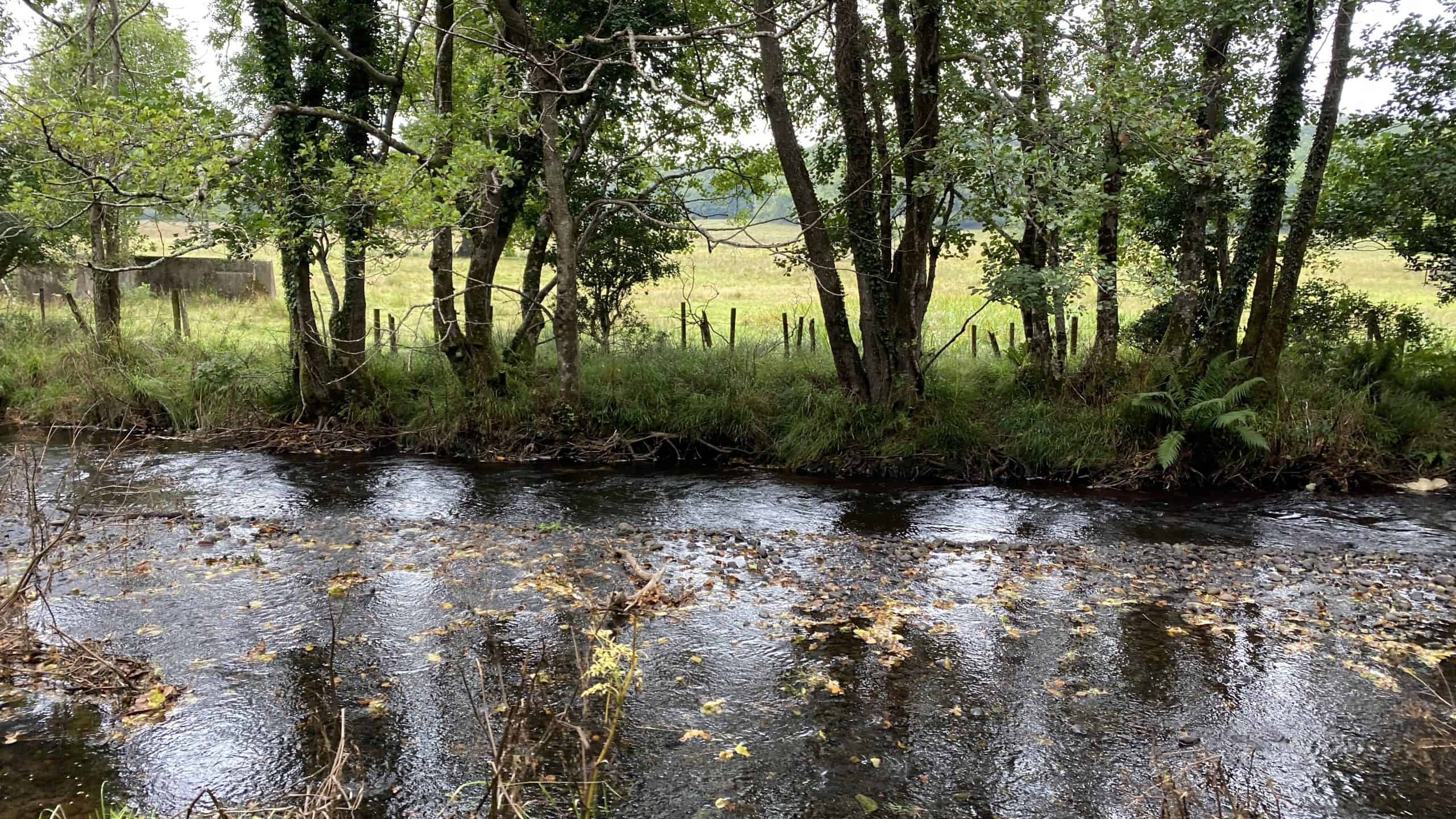 River within the park