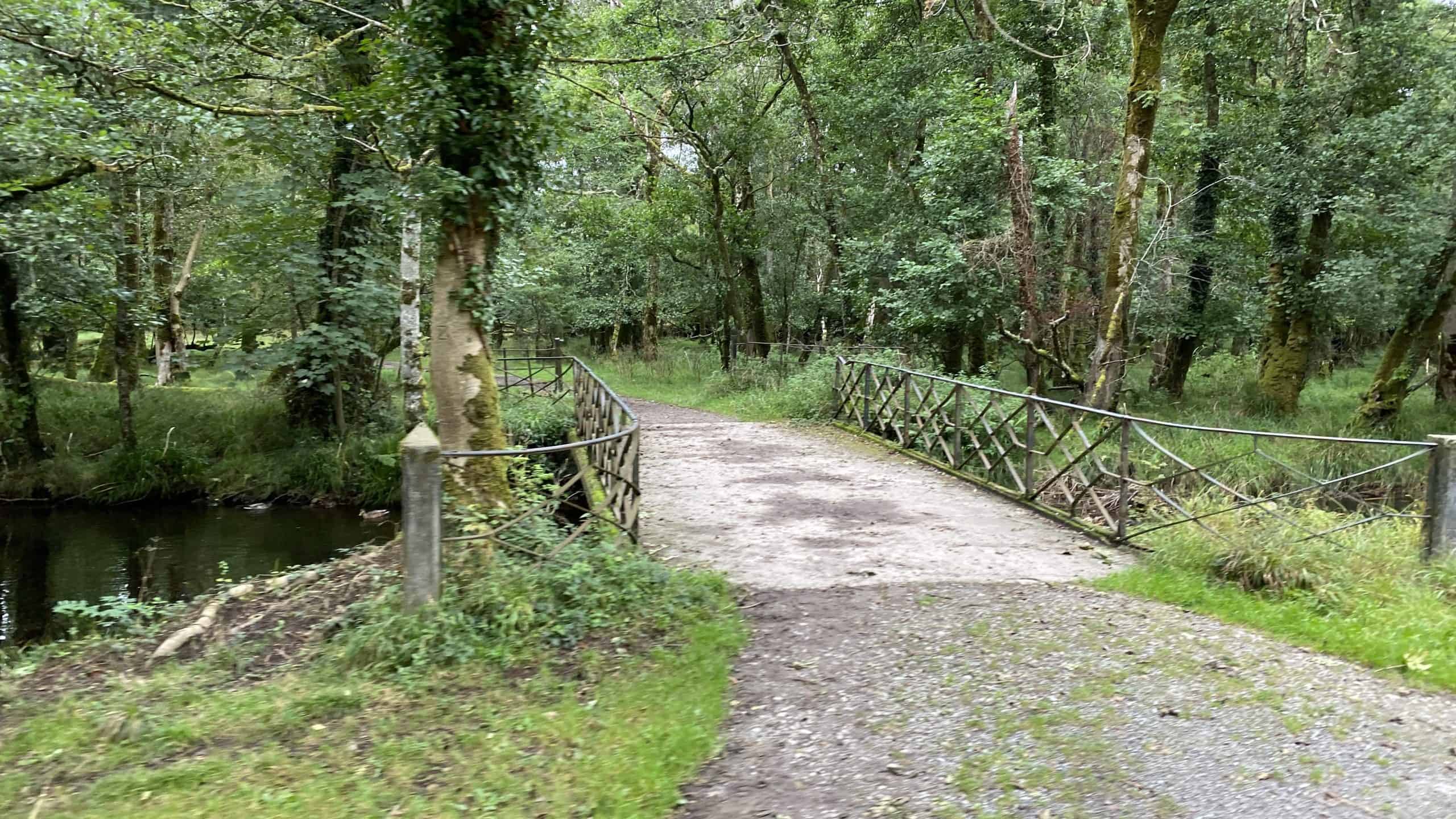 Pathways around the park