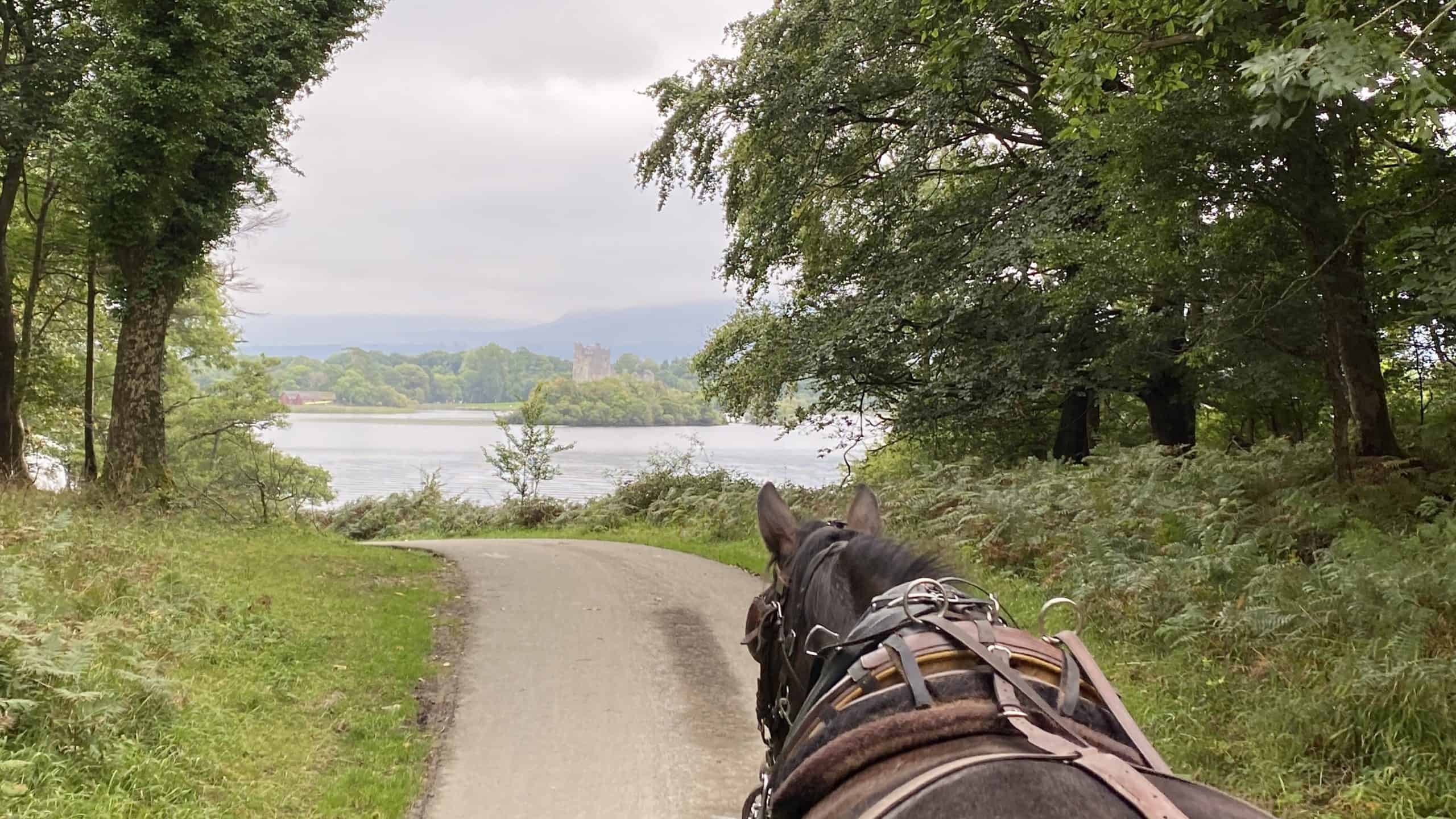 View from the jaunting car
