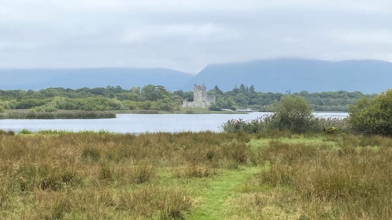 Is Killarney National Park Worth Visiting: Best Things To Do