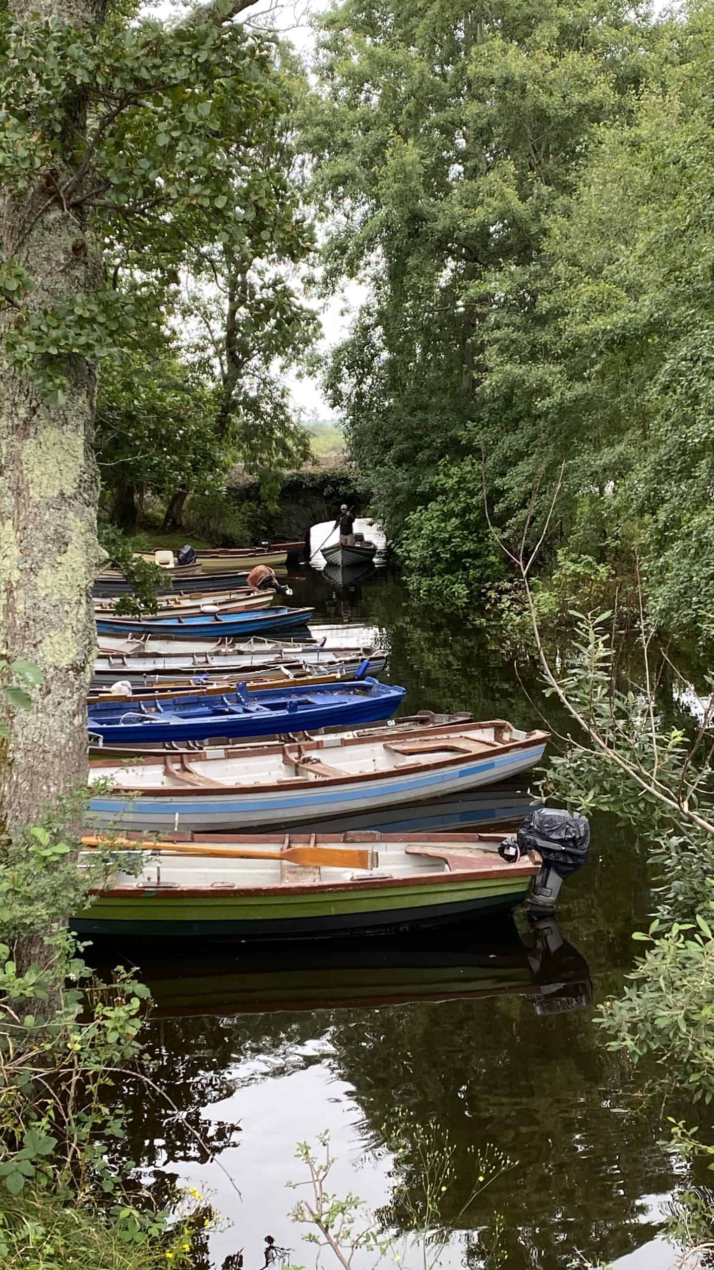Pretty river boats