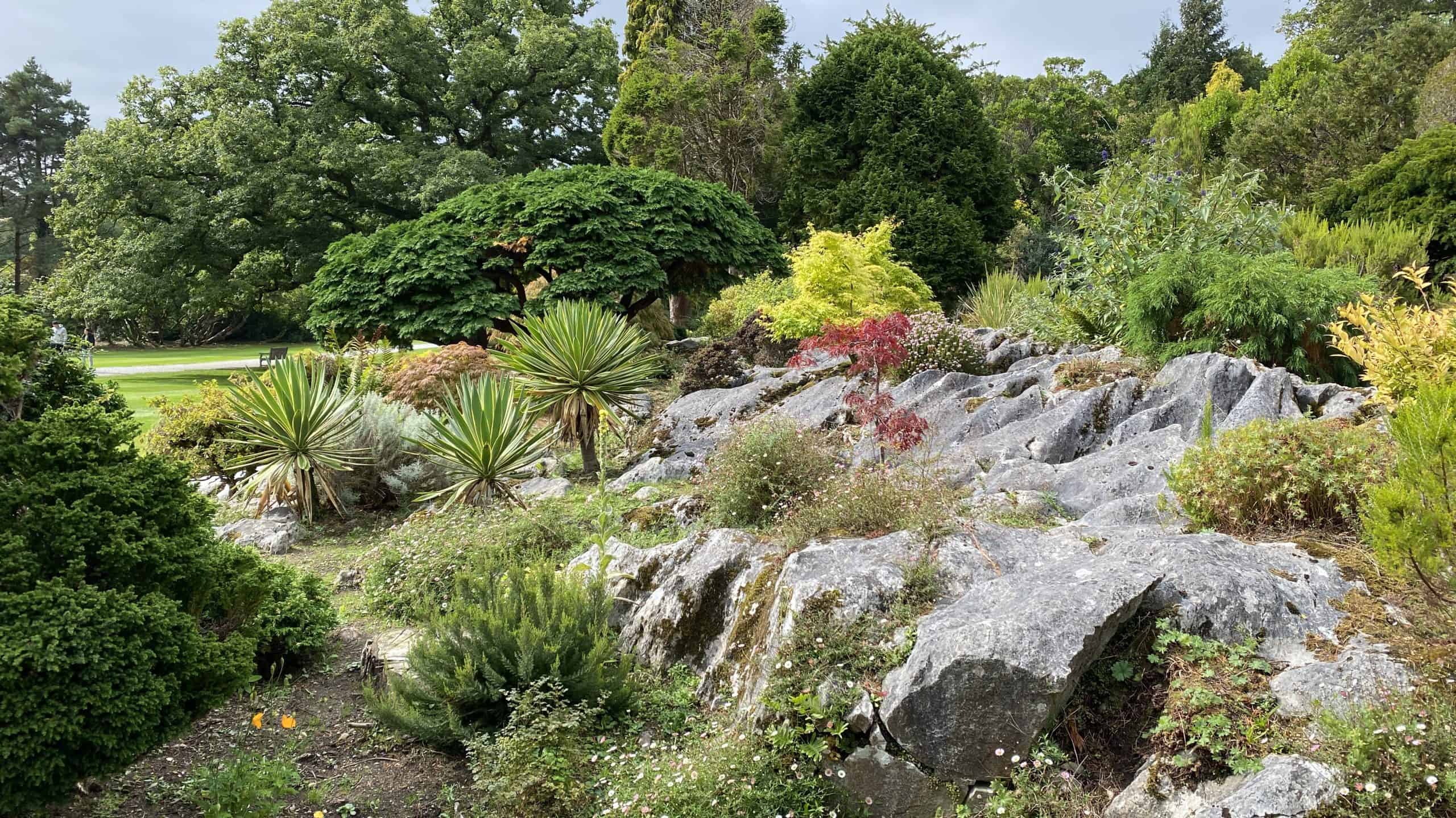 Rock garden