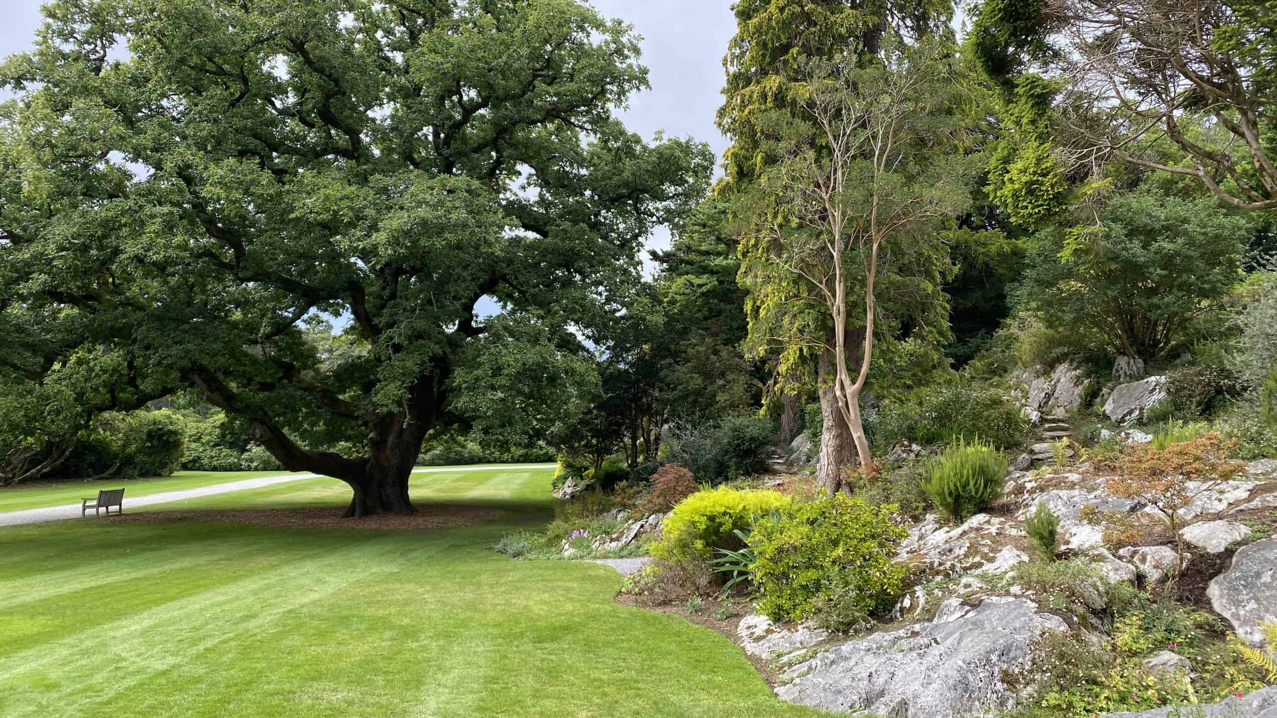 Beautiful grounds of the Estate