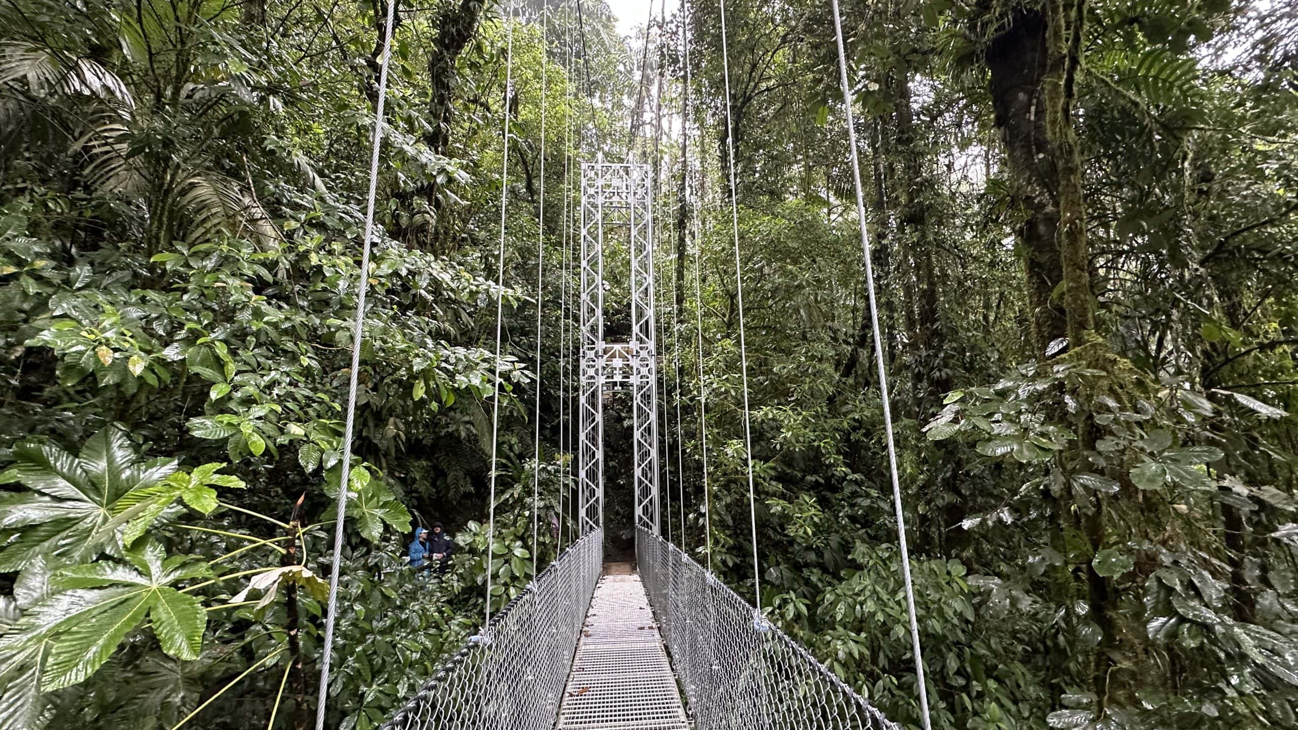 Hanging bridge