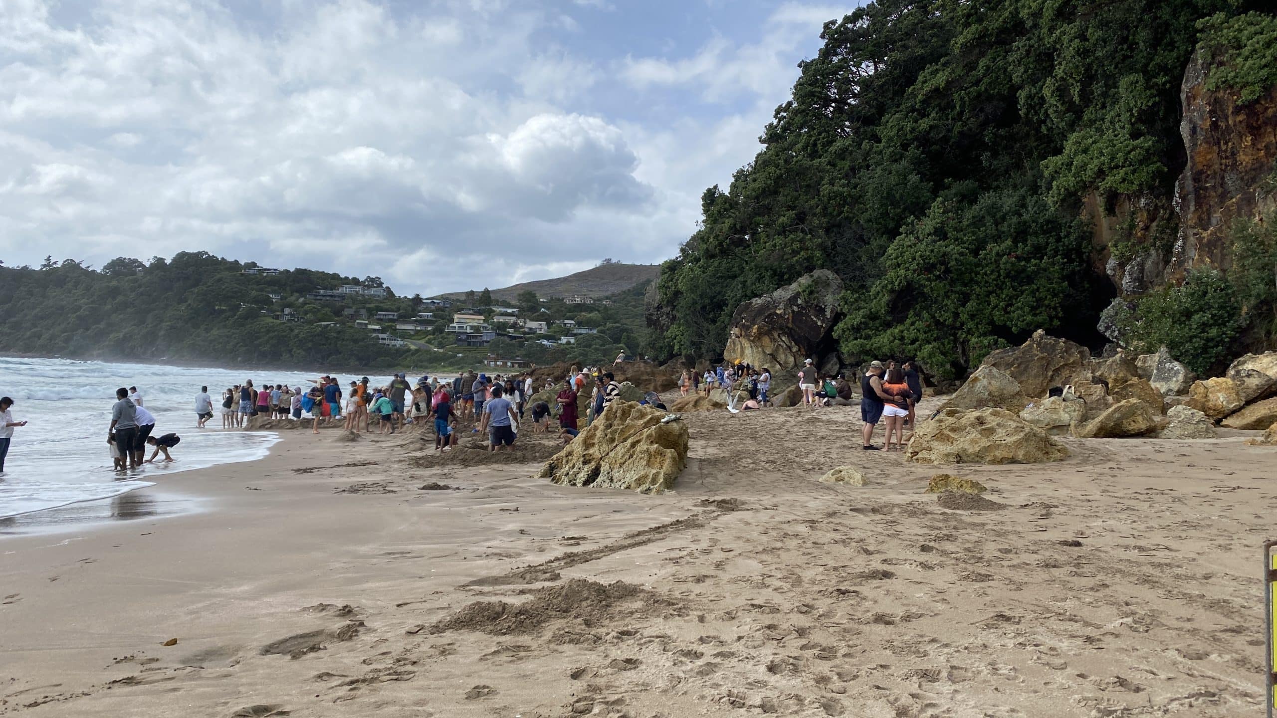People digging in the sand