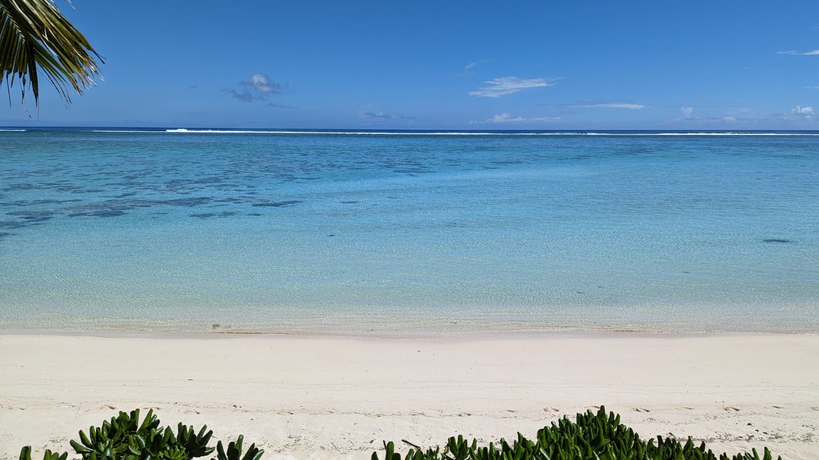 Rarotonga beauty