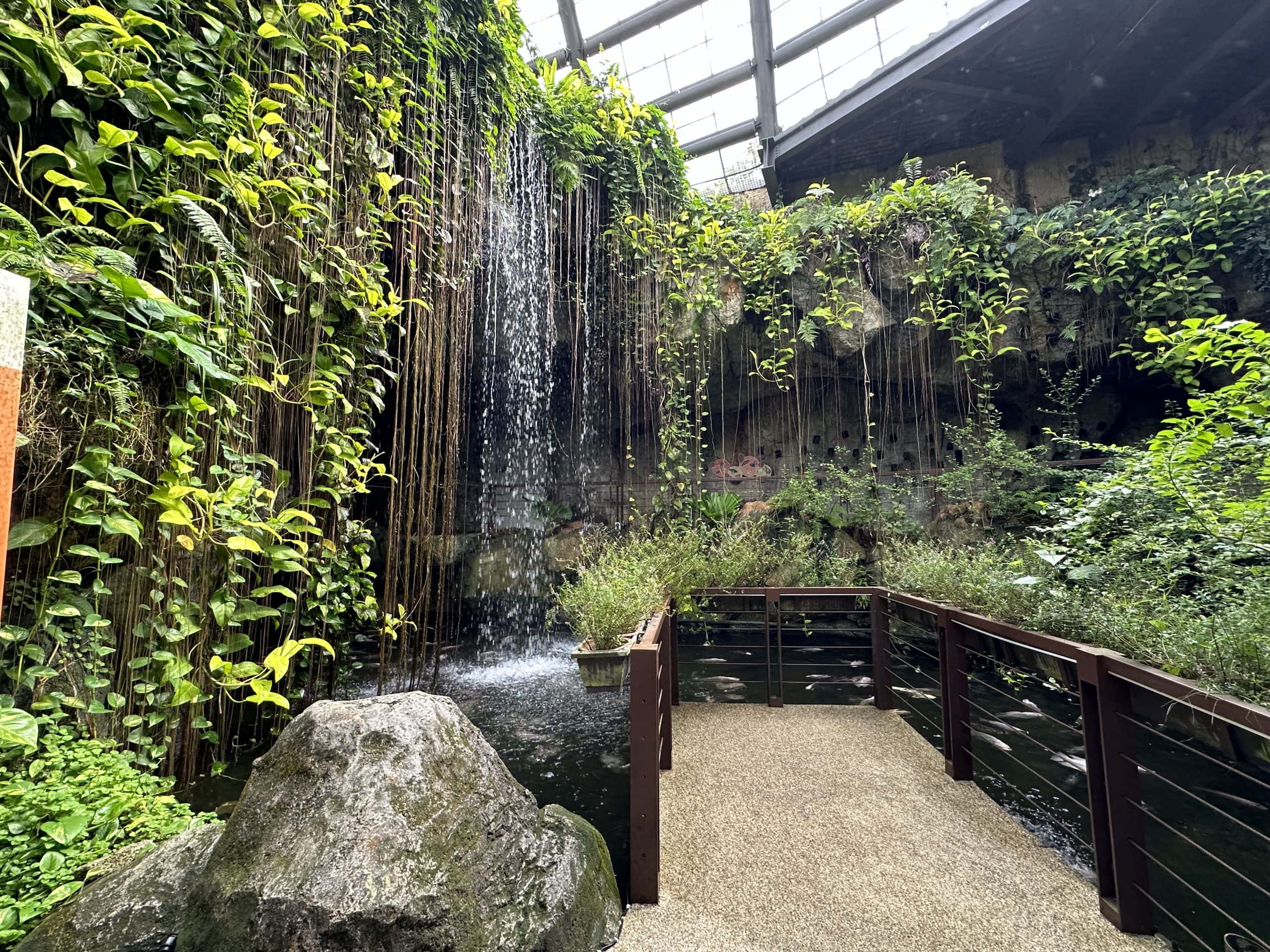 Waterfall