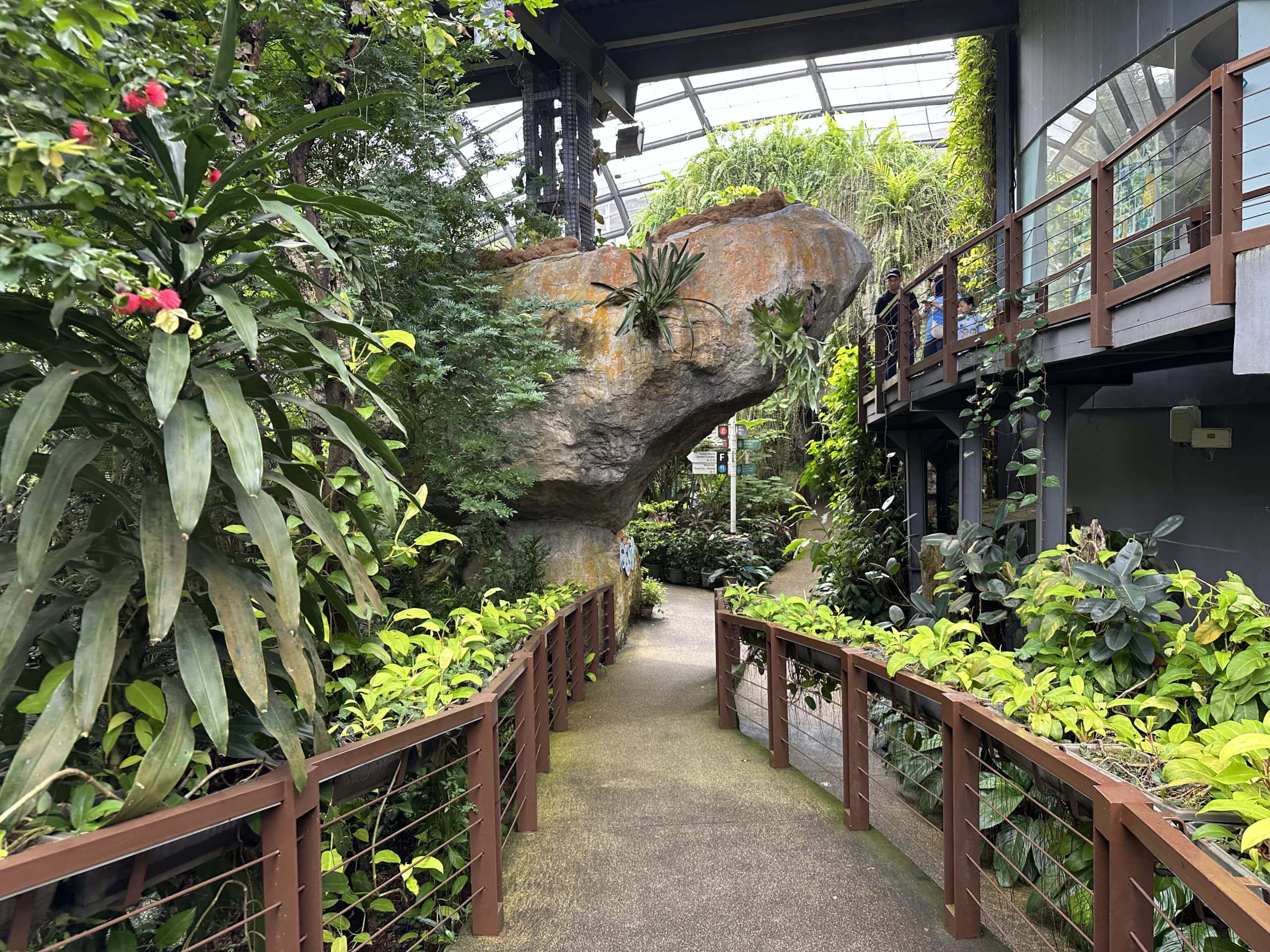 Natural surroundings
