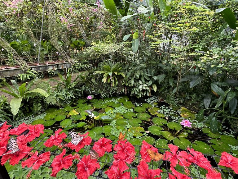 Butterfly Gardens From Around The World