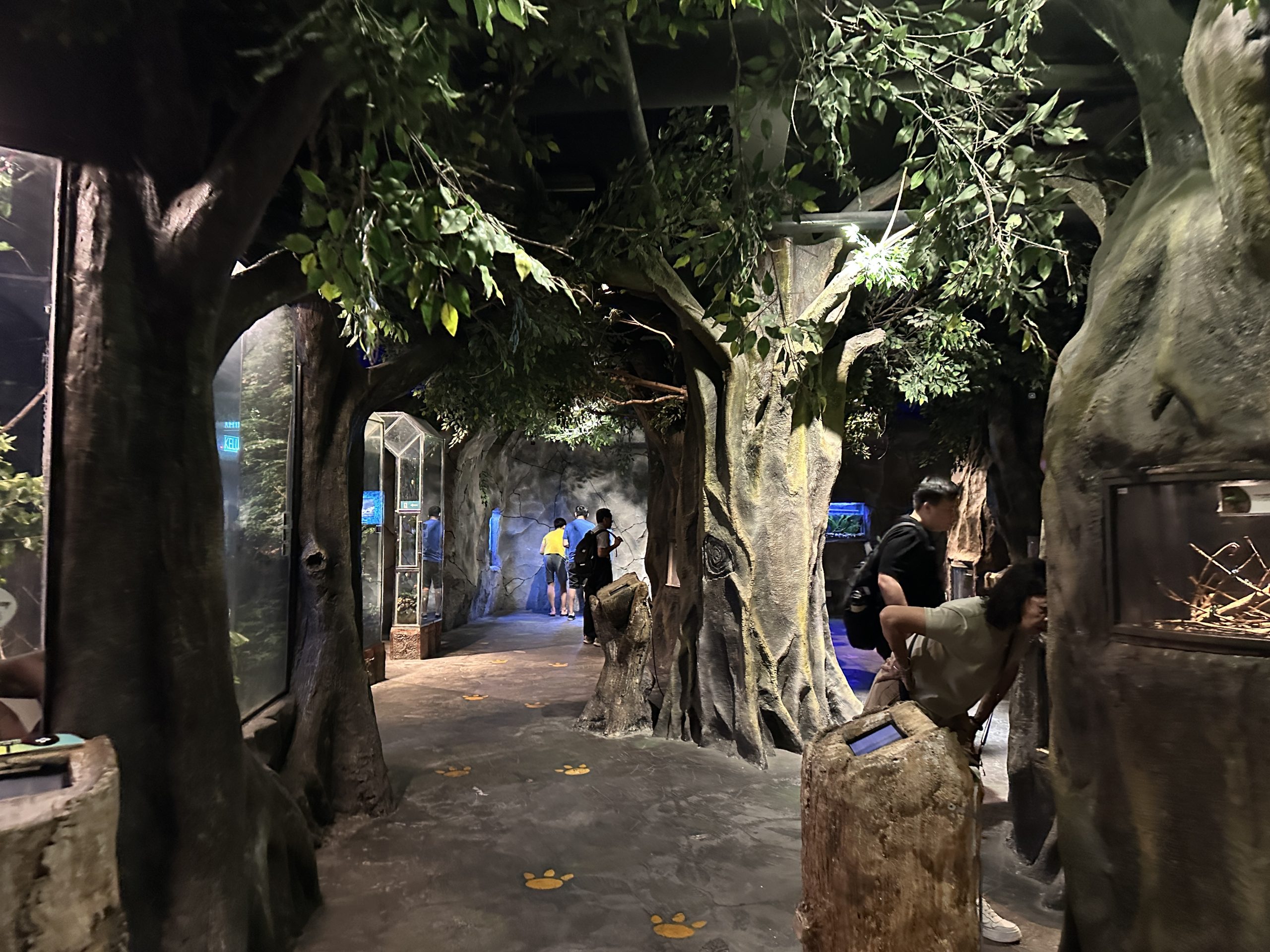 Insect and spider exhibit