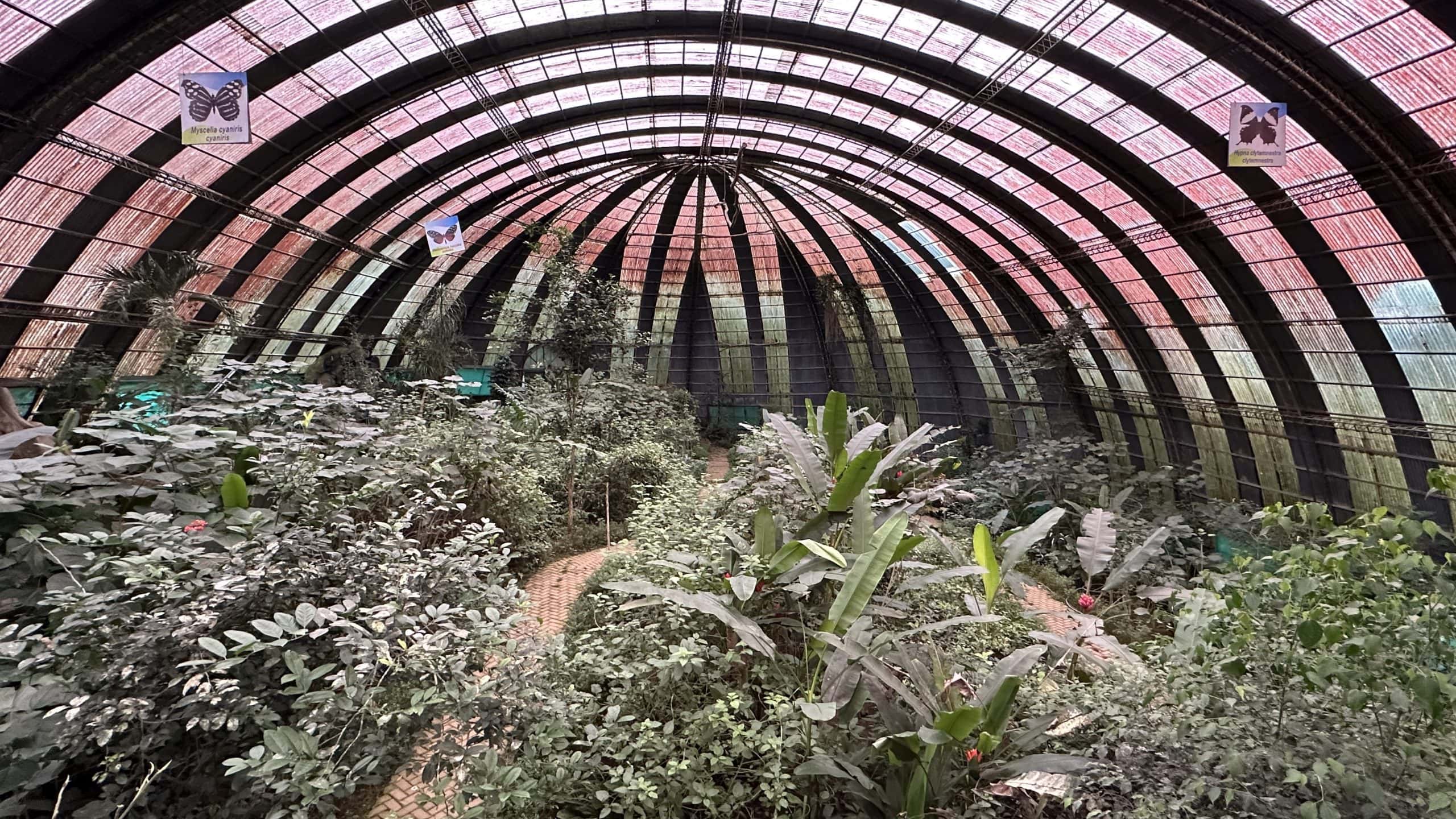 Glass enclosure