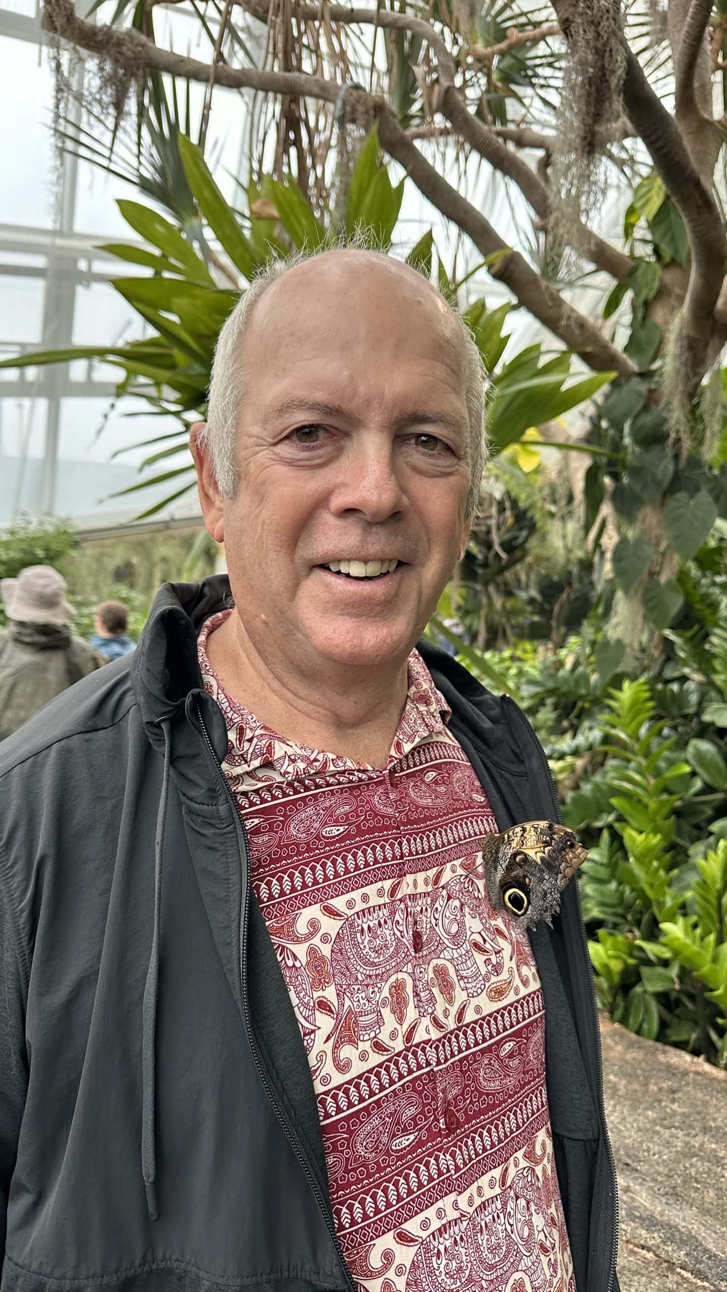 A butterfly hitching a ride on Denis