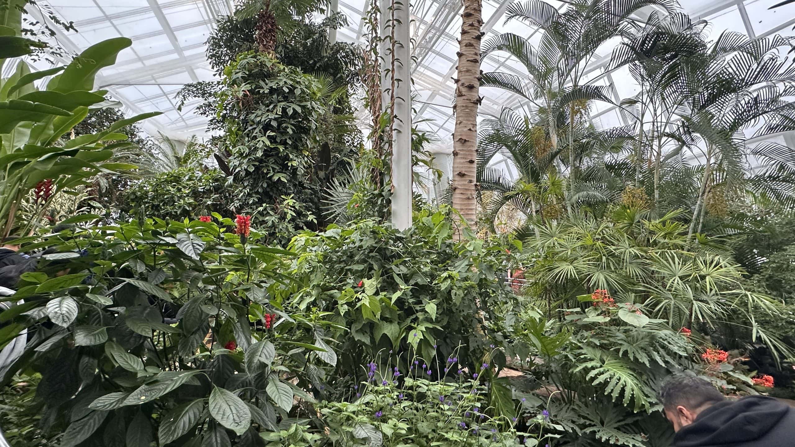 Lush gardens