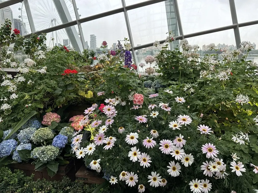 Flower displays