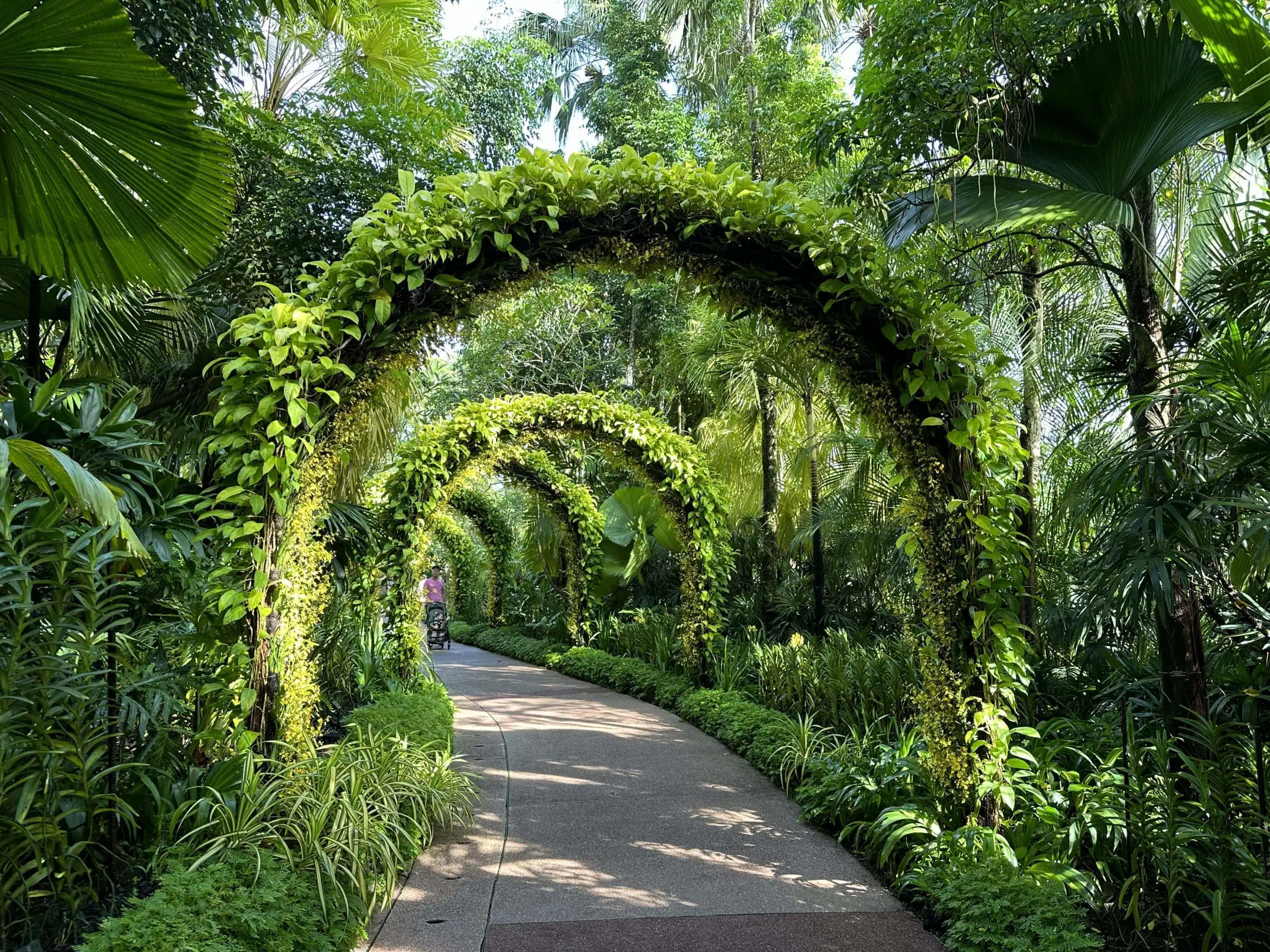 Lush greenery