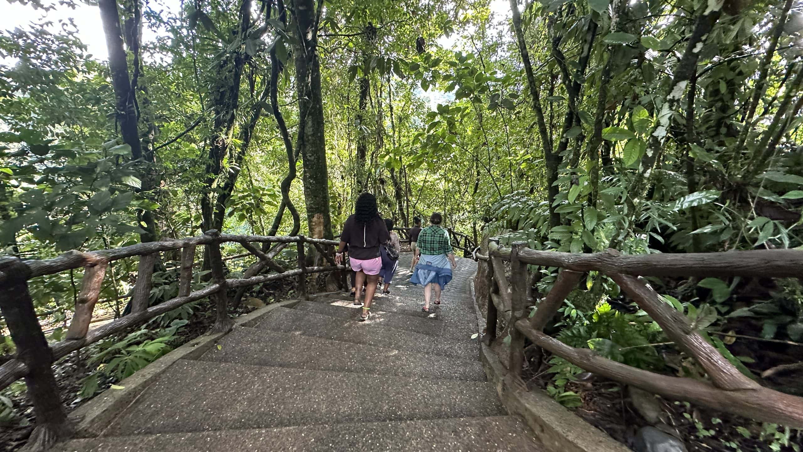 Steps down to Fortuna Waterfall