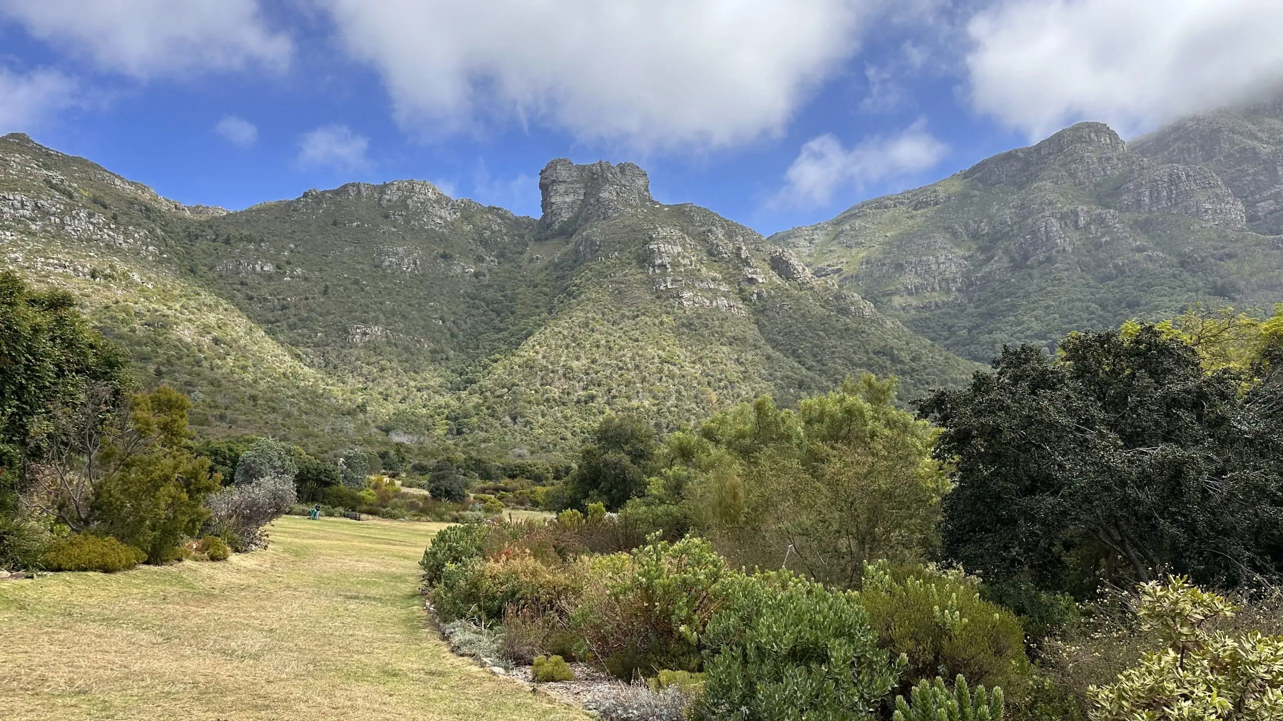 Garden at the foot of the mountains