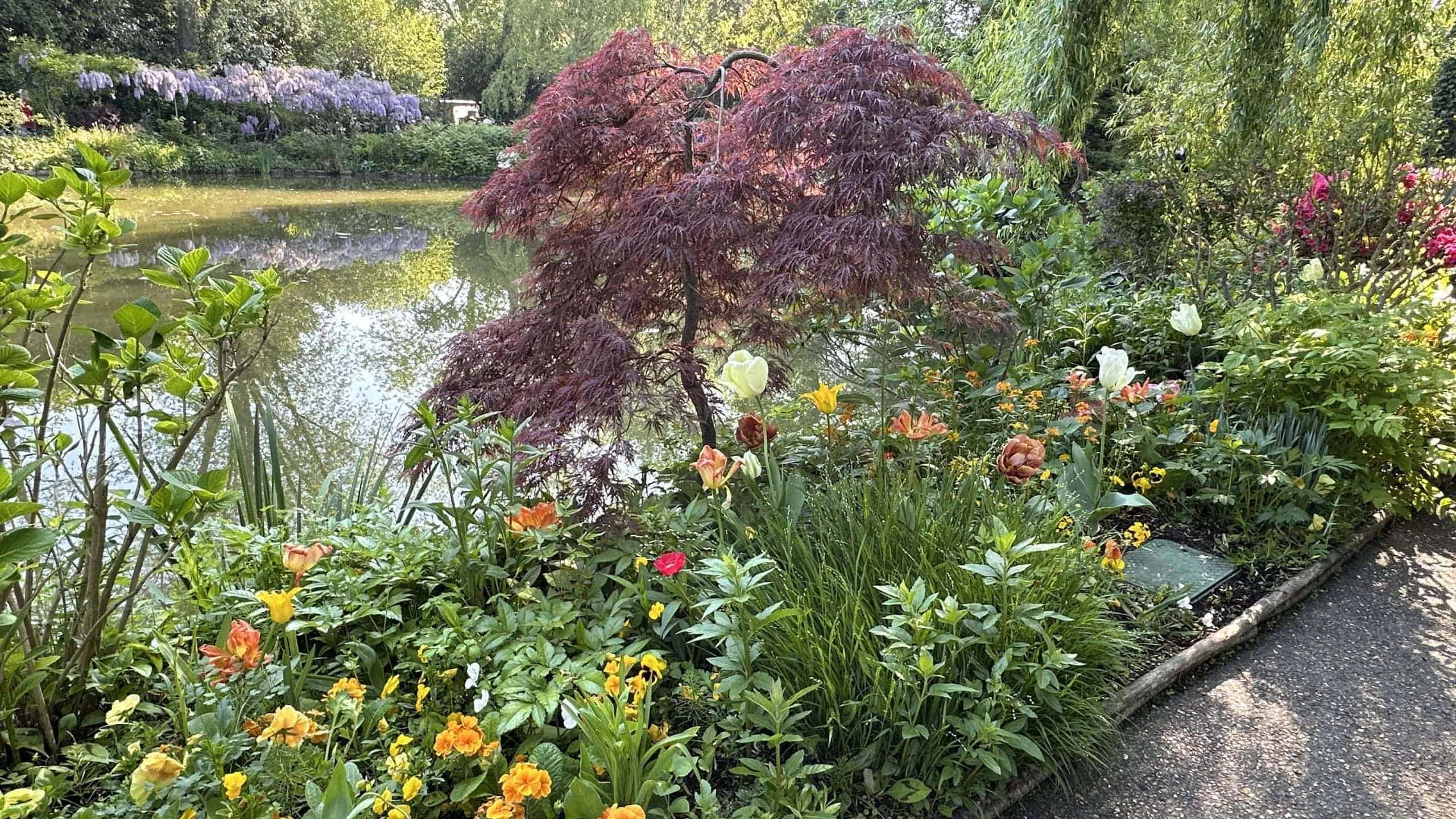 Beautiful flower beds